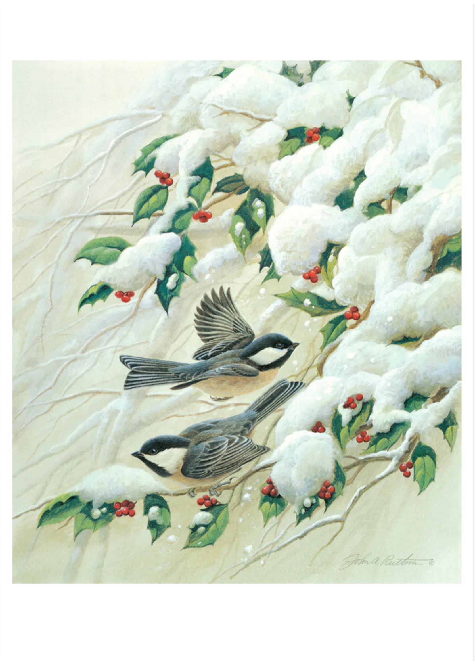 Xmas 12 Cards Boxed  Black-Capped Chickadees