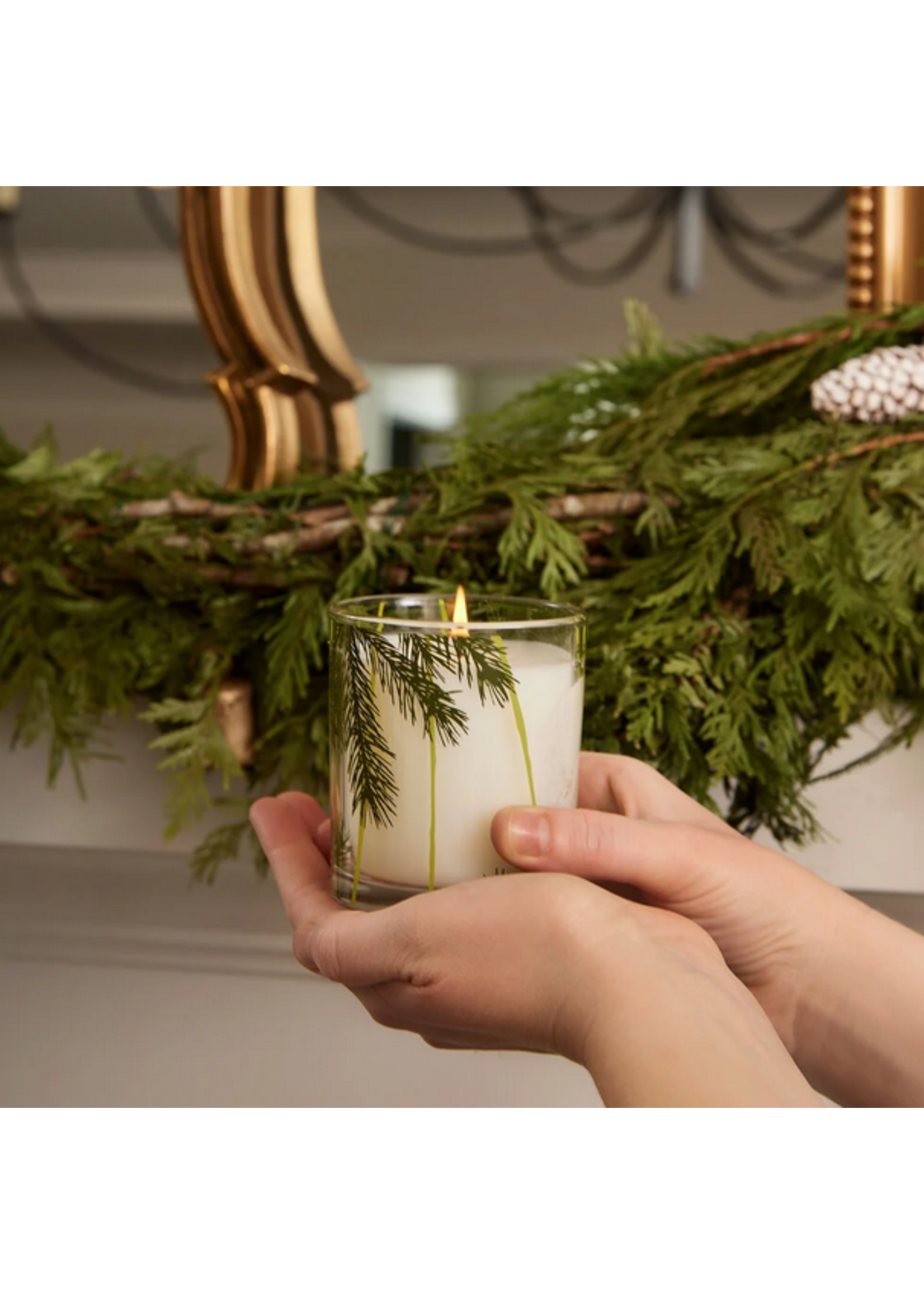Thymes Frasier Fir Candle Poured Pine Needle Boxed 6.5 oz.