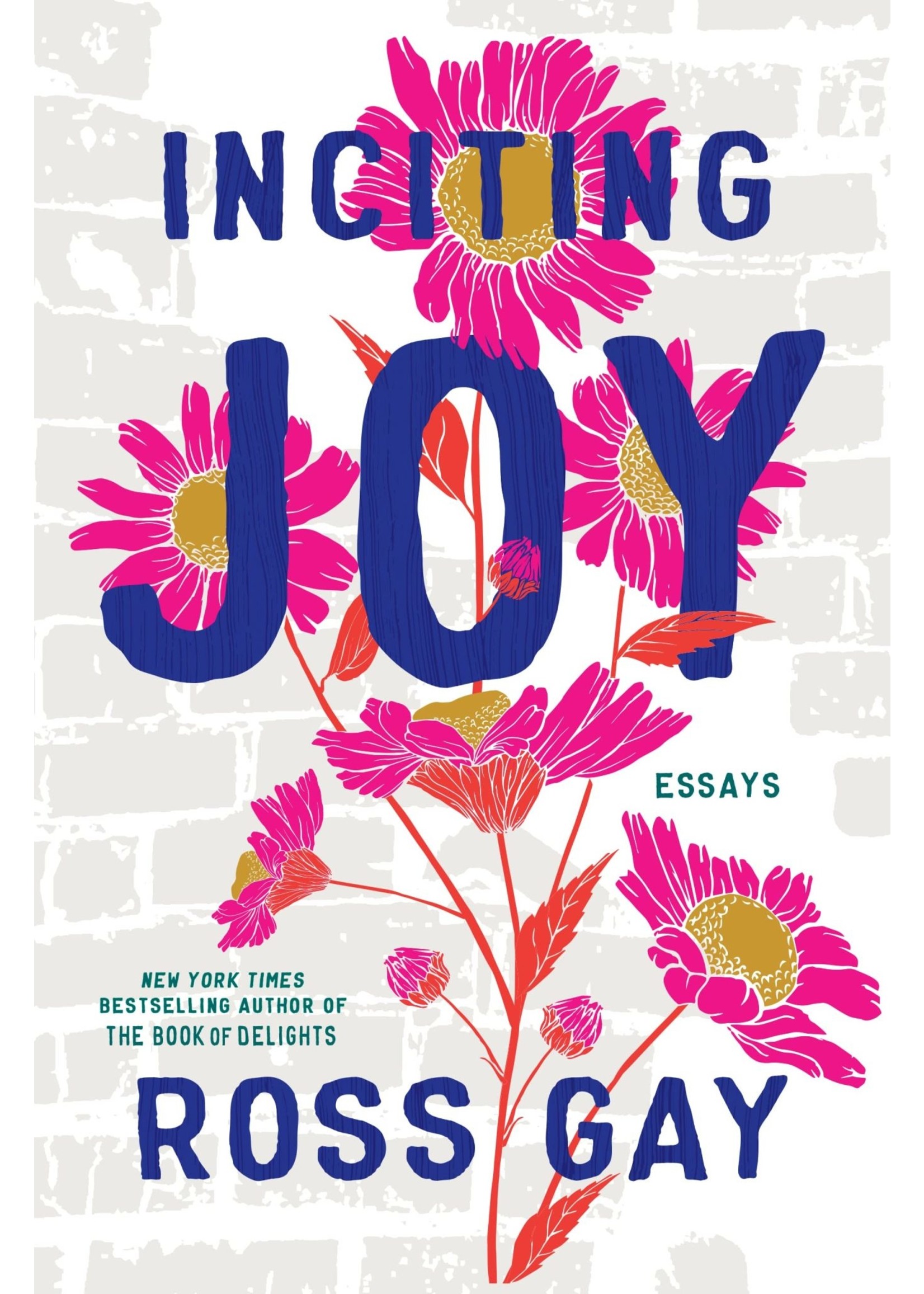 Book Inciting Joy