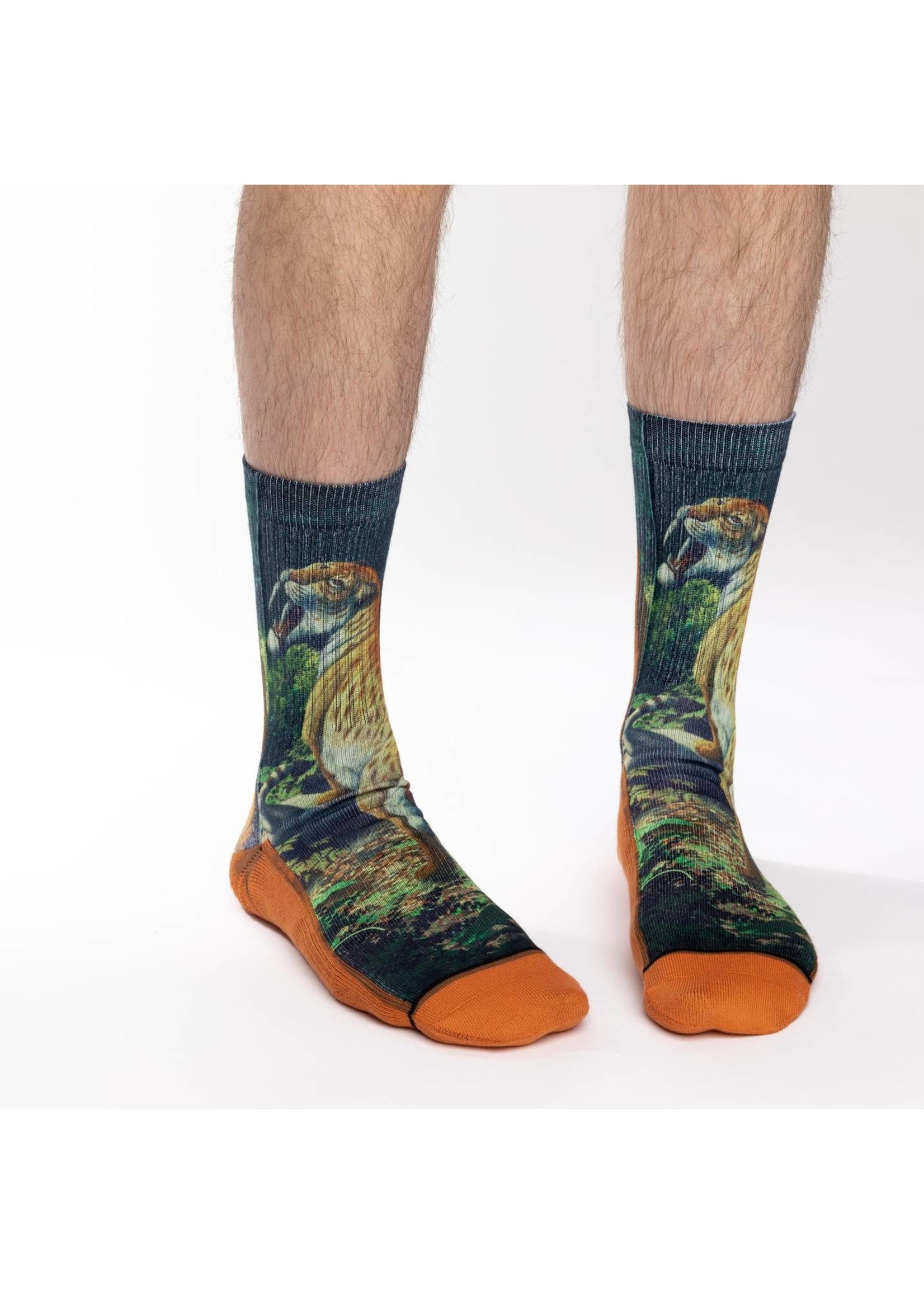 Saber Tooth Tiger Men's Socks