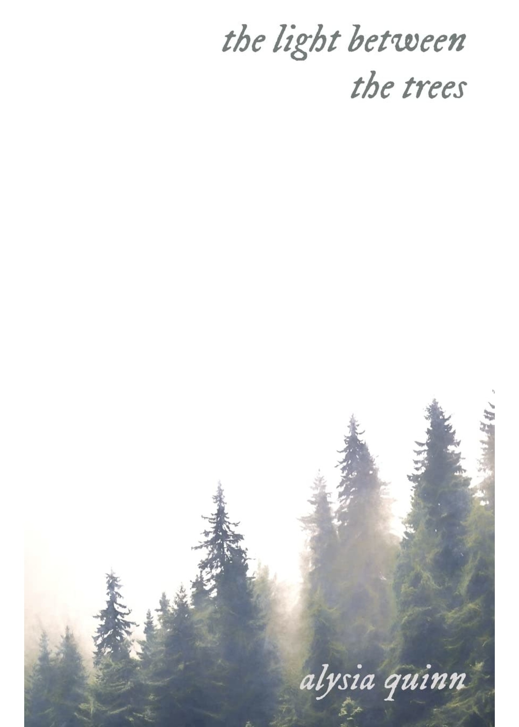 The Light Between the Trees, Poetry by Alysia Quinn