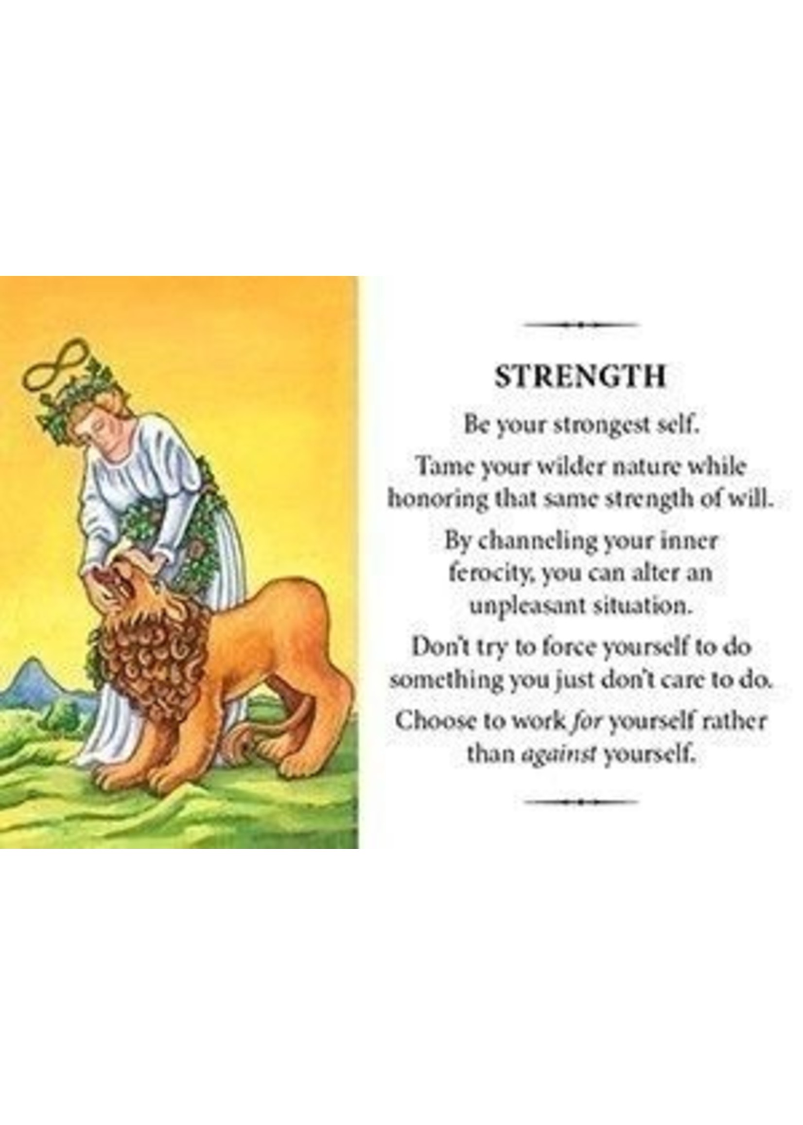 Deck the Gift of Tarot Box Only - DO NOT SELL