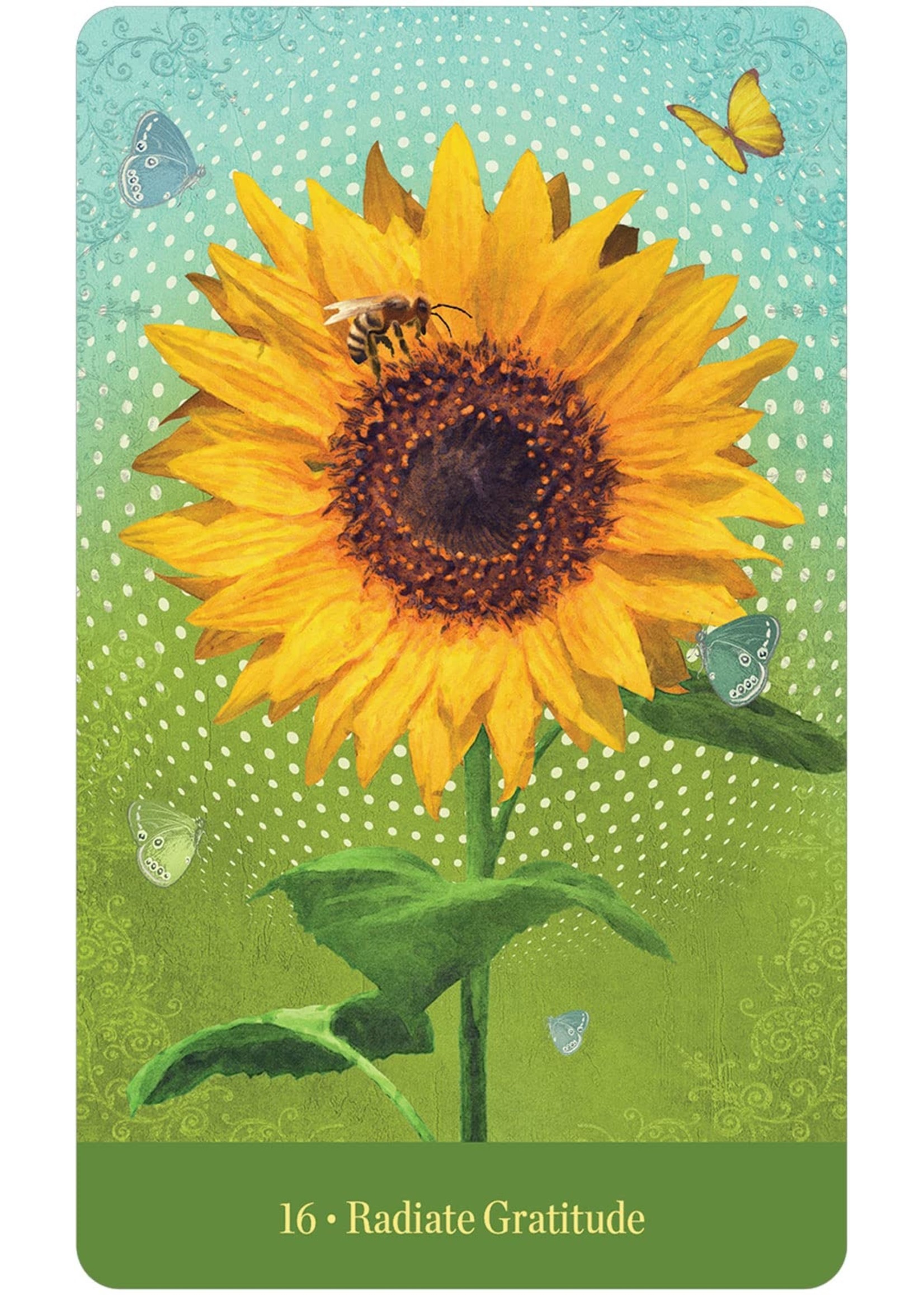 Deck Love Who You Are Oracle