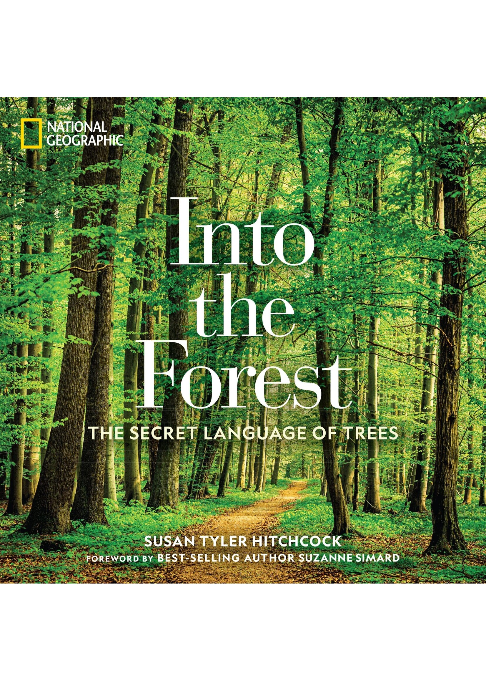 Into the Forest - The Secret Language of Trees