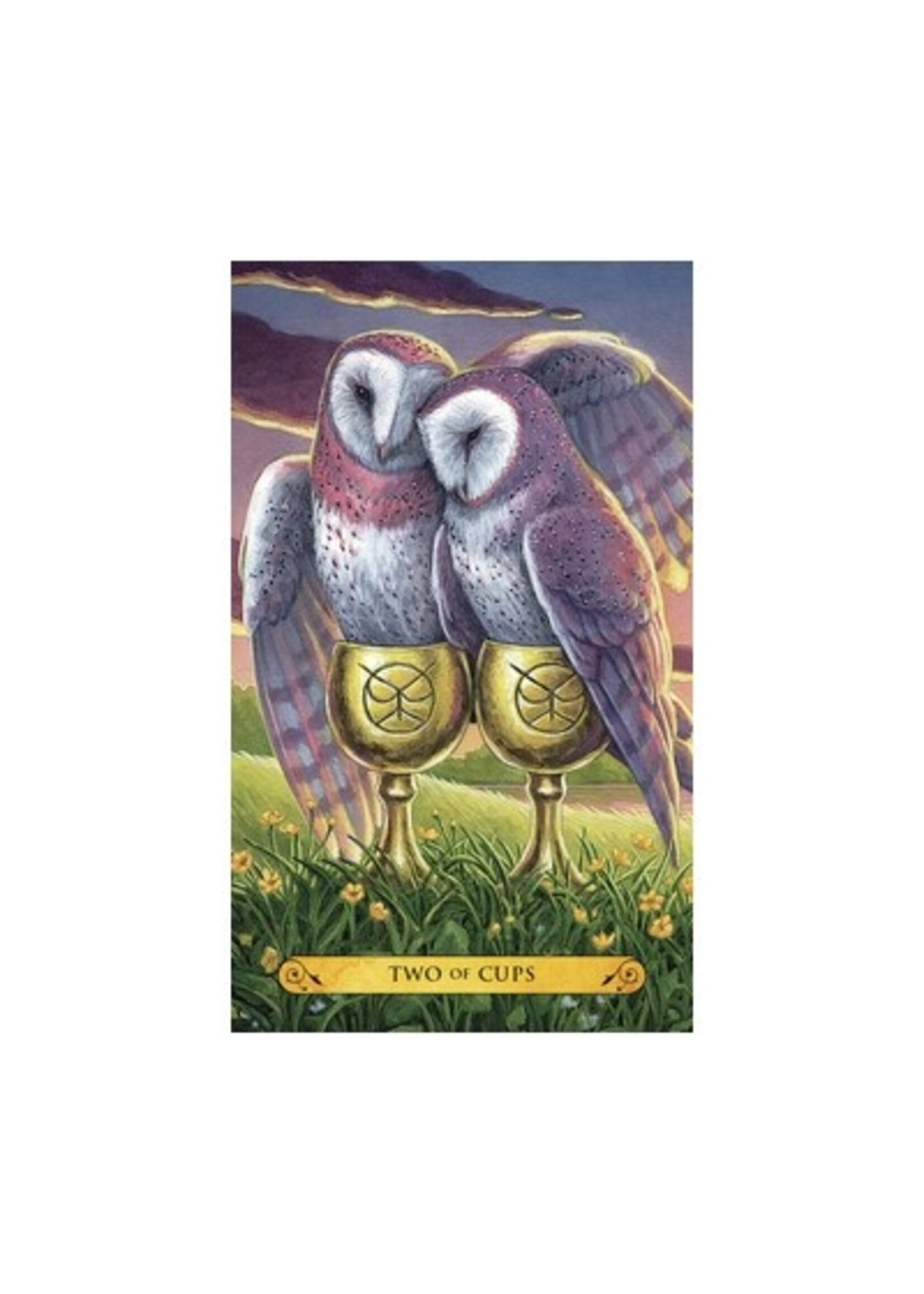 Deck Tarot Of The Owls
