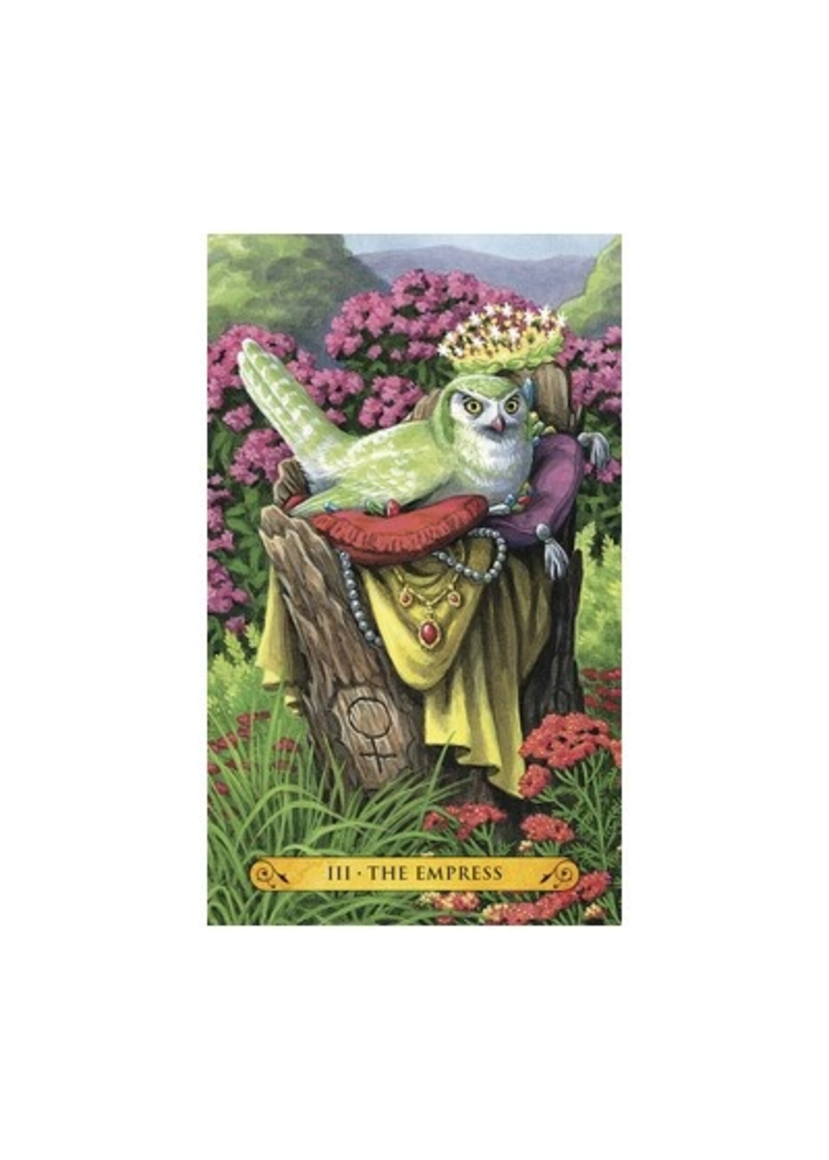 Deck Tarot Of The Owls