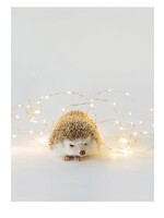 Bx Xmas Hedgehog With Lights