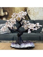 Premium Large Rose Quartz Crystal Tree