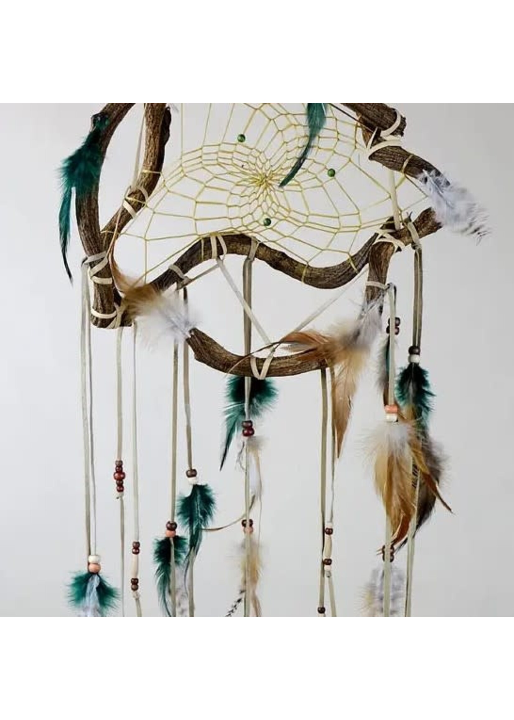 Dream Catcher Wanderer Medium Twig Green 11-12"