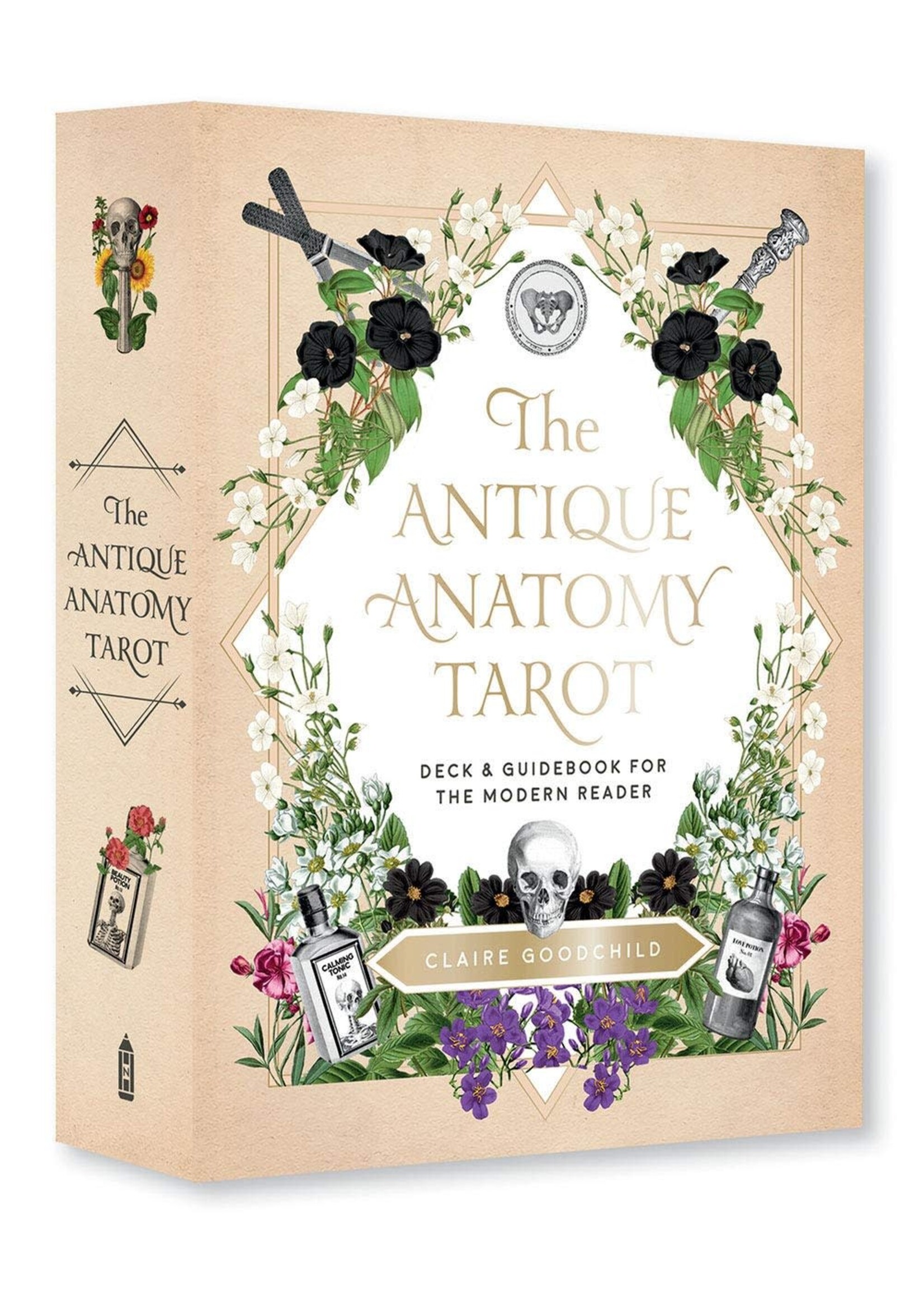 Deck The Antique Anatomy Tarot