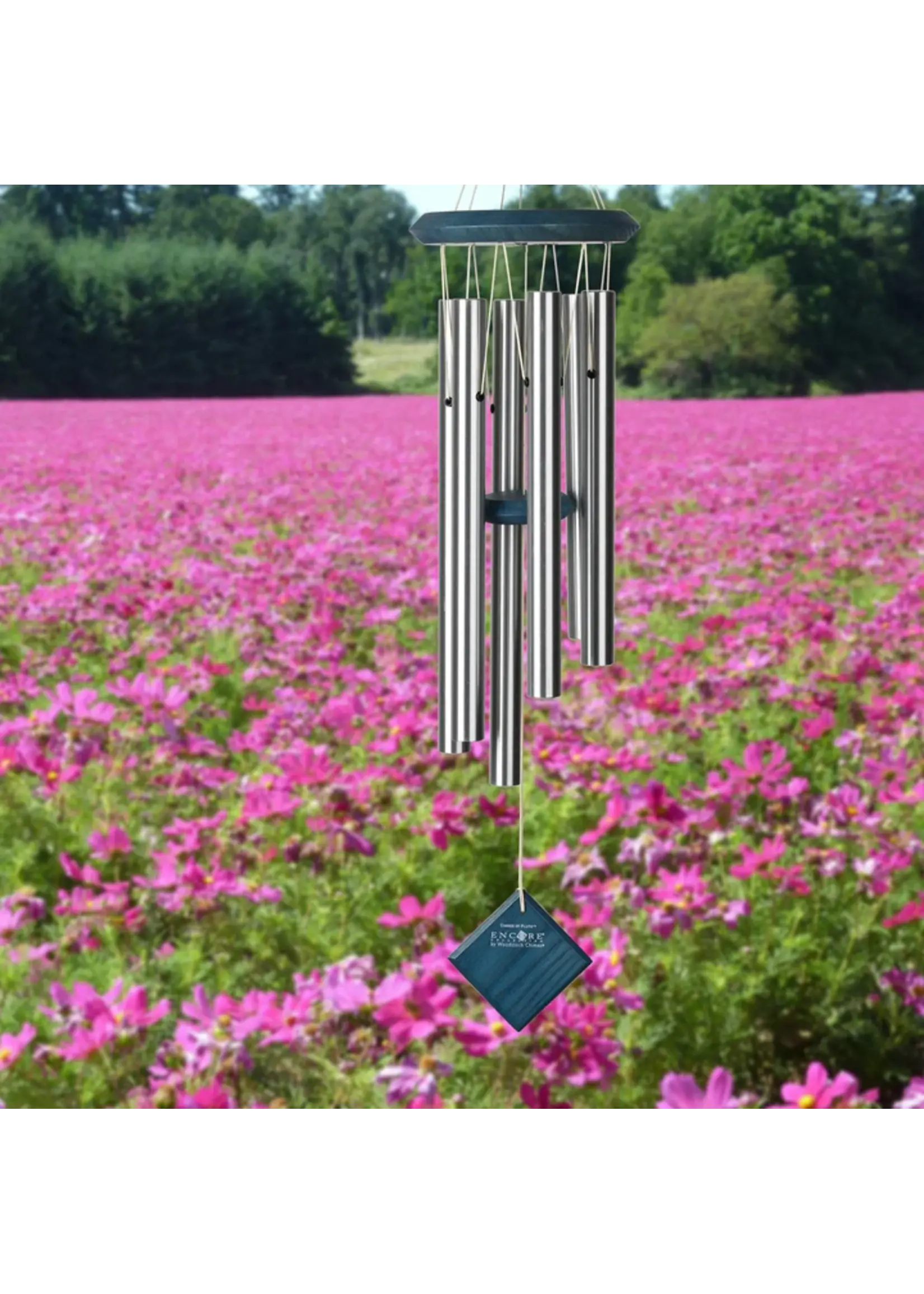 Woodstock CHIMES OF PLUTO Blue Wash