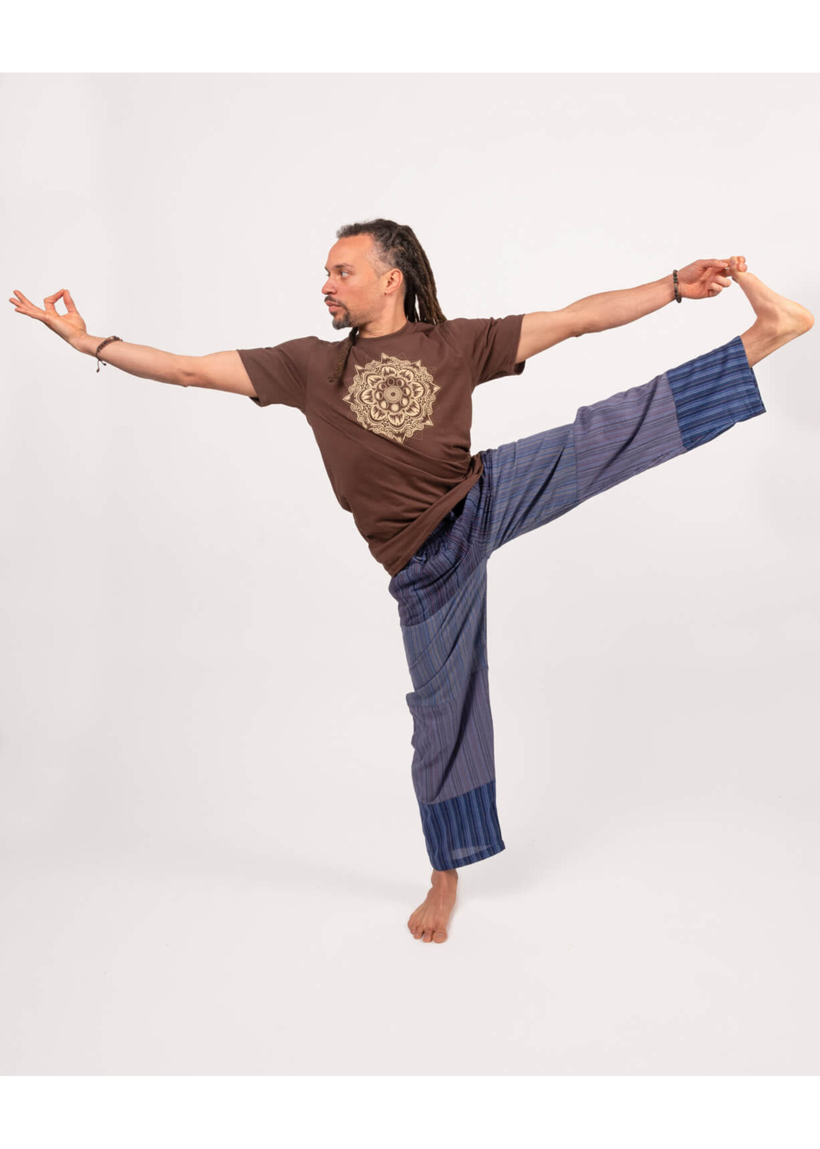 Soul Flower Mountain Mandala Organic T-Shirt