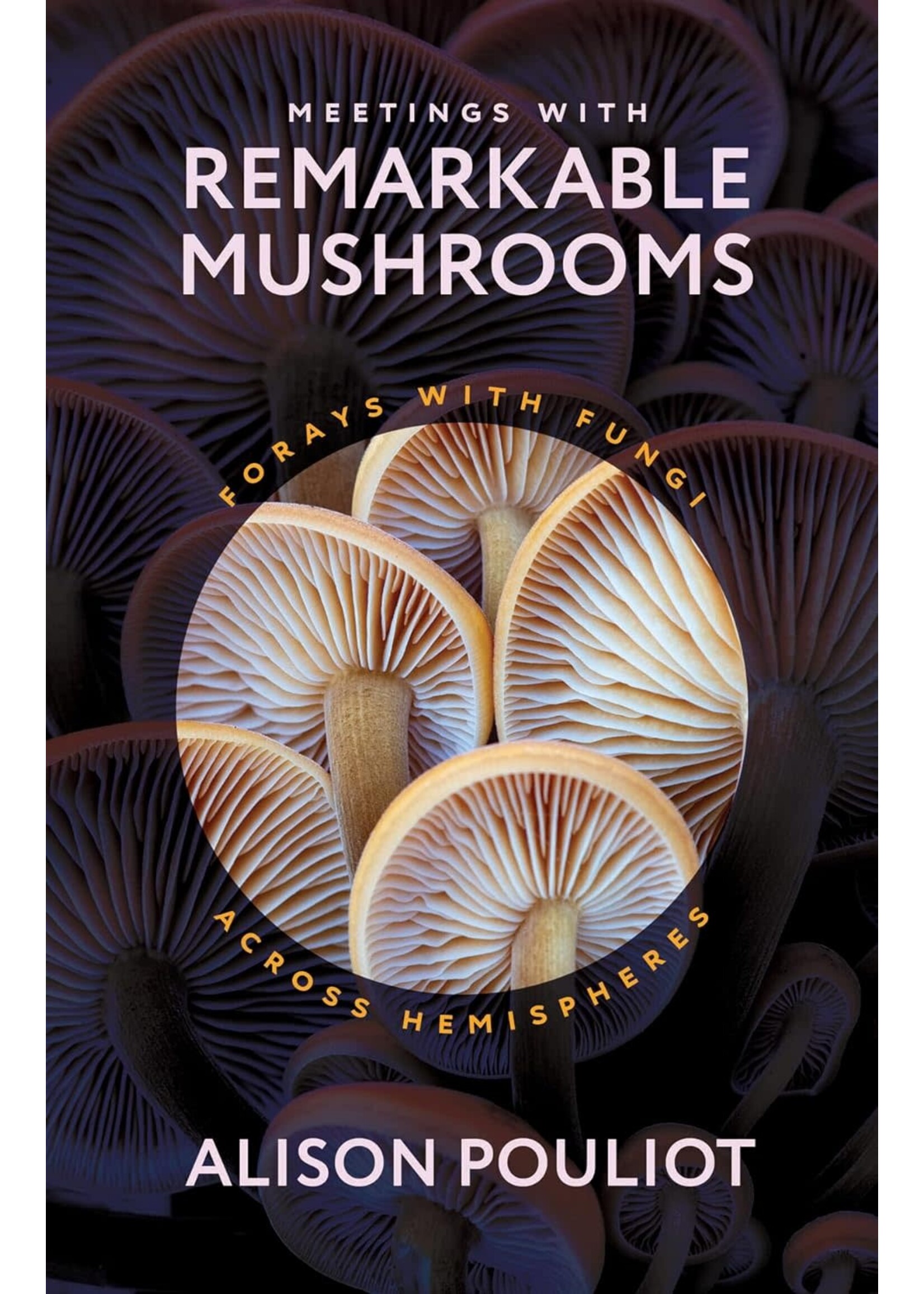 Meetings With Remarkable Mushrooms