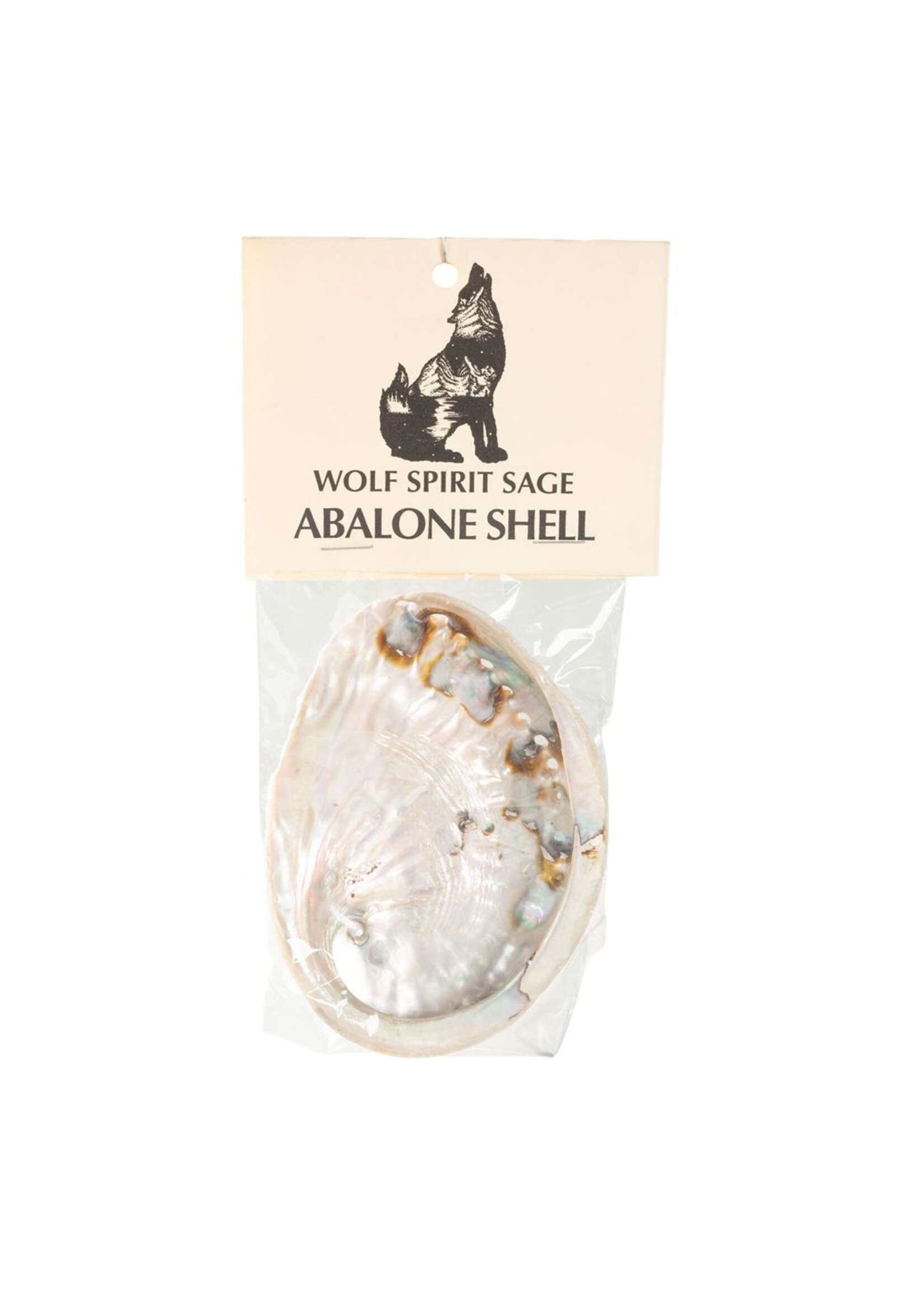 Abalone Smudge Shell