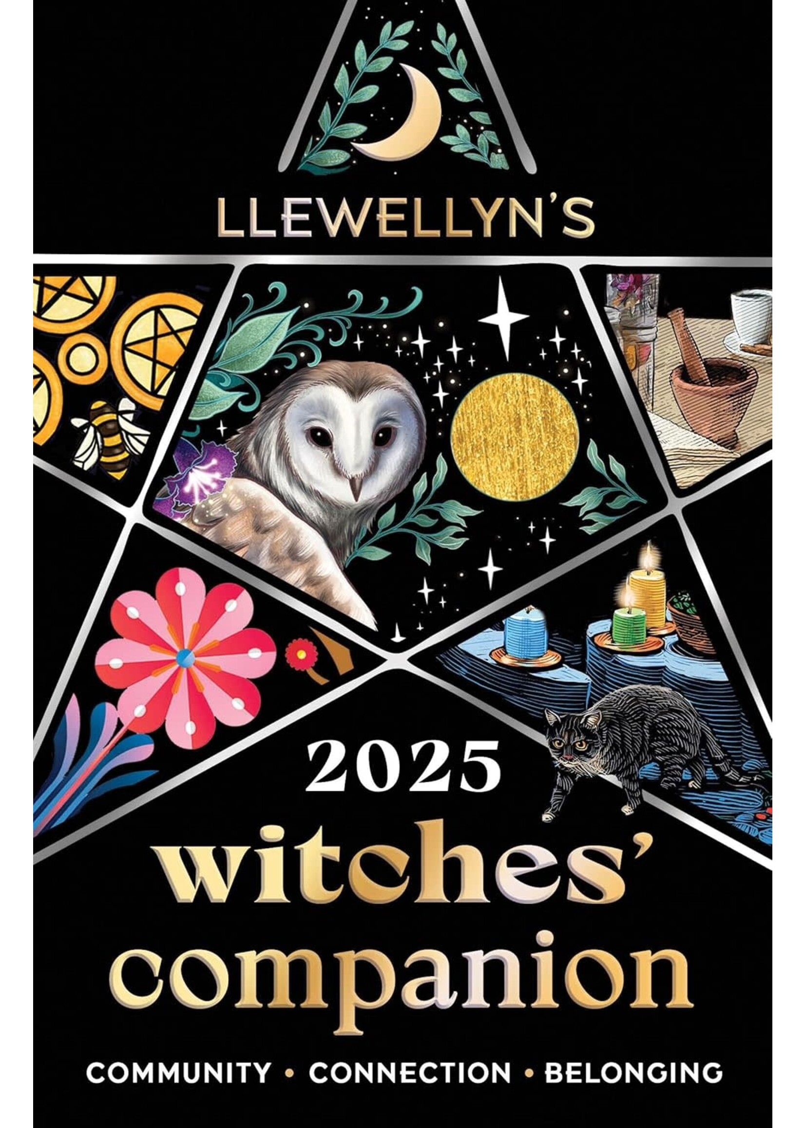 LLEWELLYN'S 2025 Witches Companion