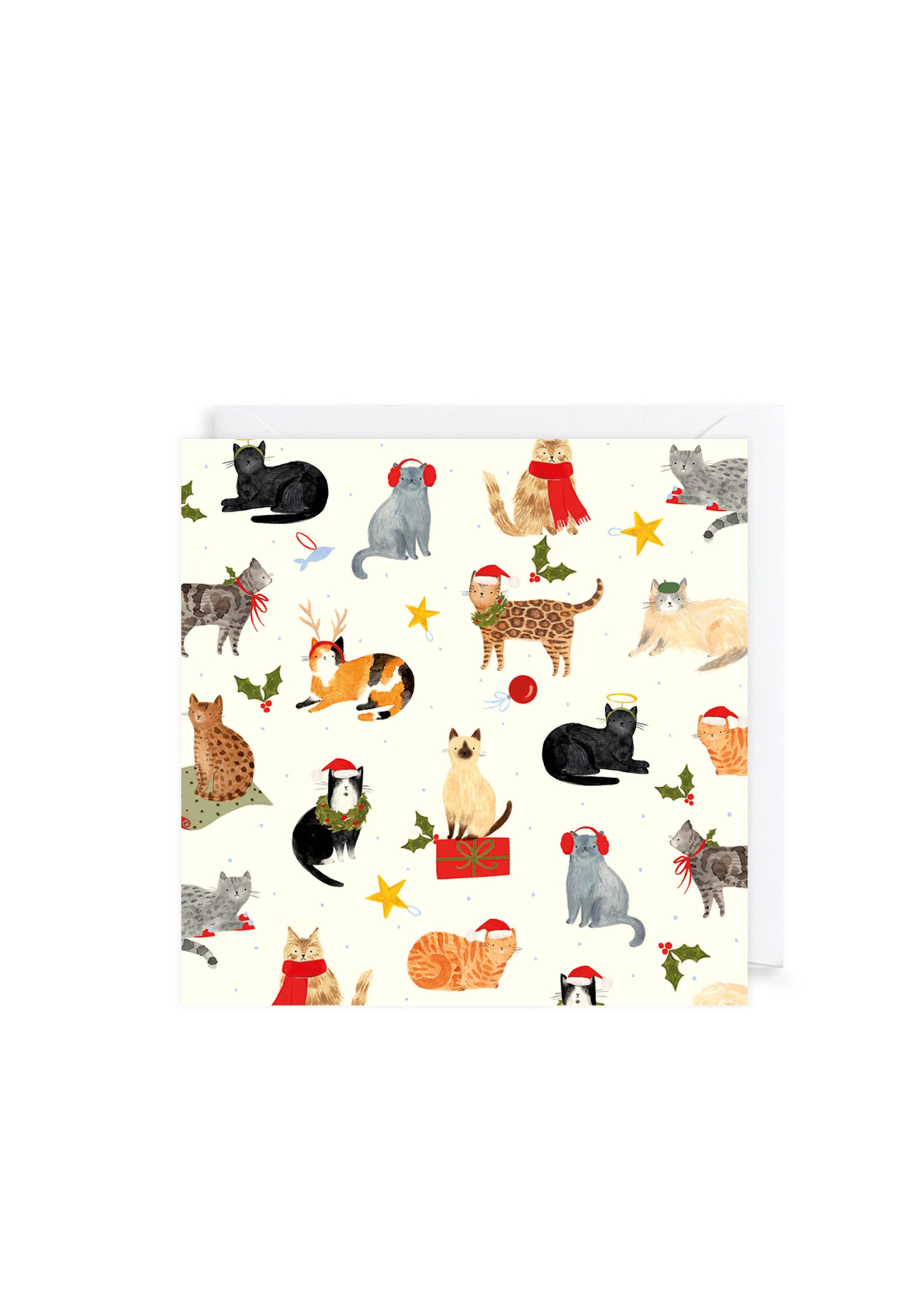 N&Q Christmas Cards Cats Christmas 10ct