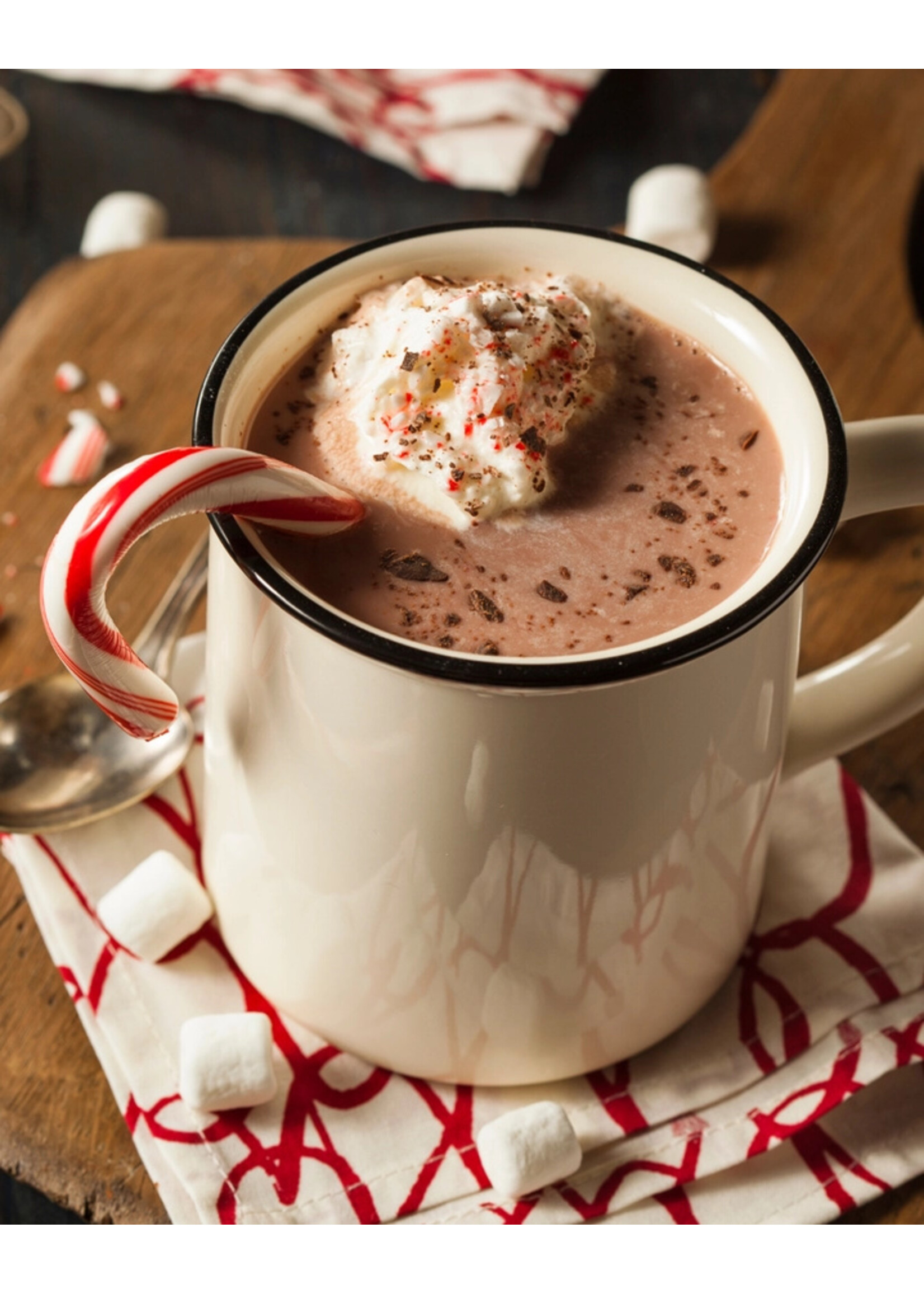 "Minty Wonderland" - Hot Cocoa Mix Jar 8-10 Servings