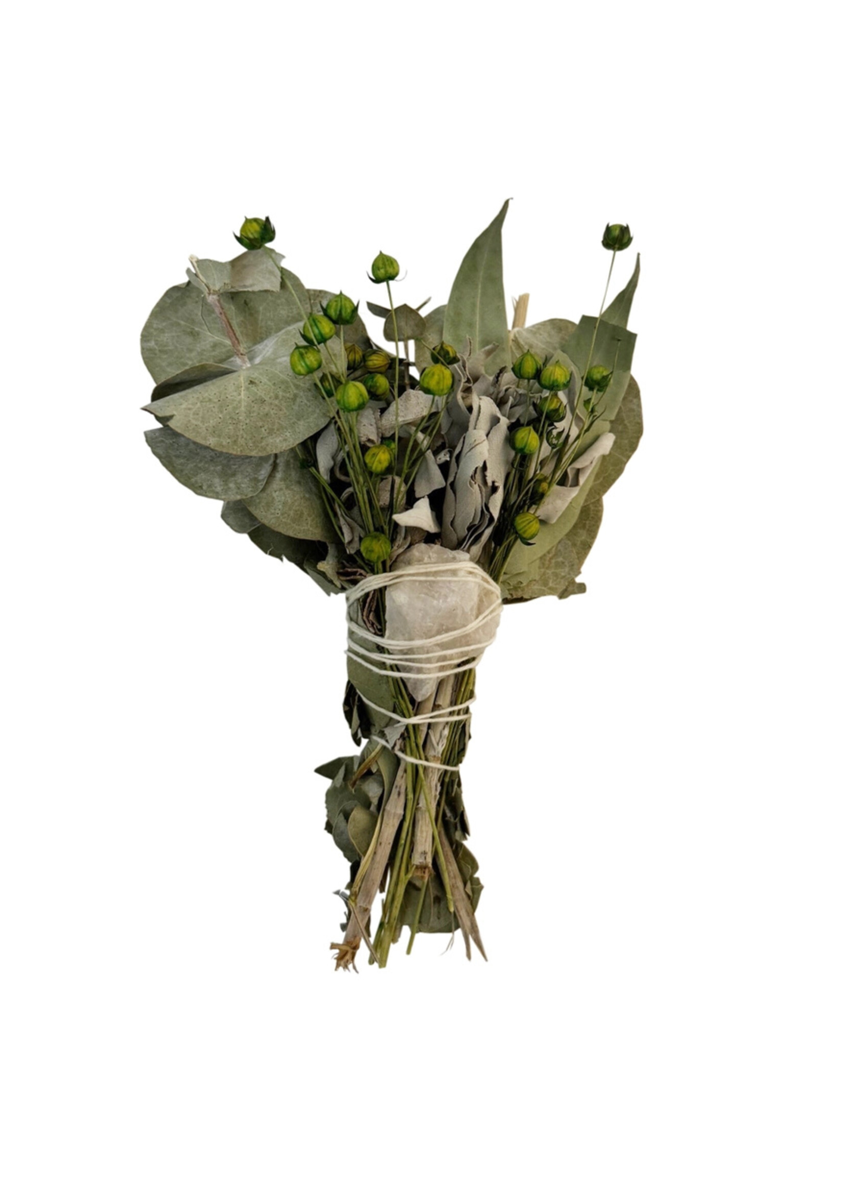 Smudge Sage Wand Eucalyptus 6"