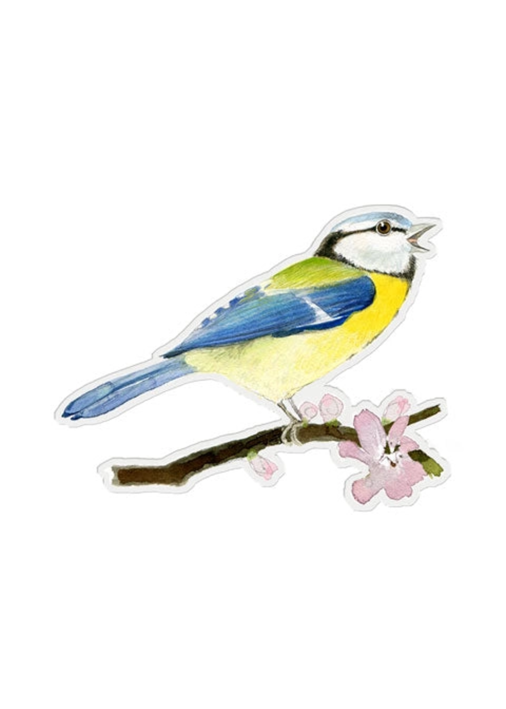Felix Doolittle Blue Tit Songbird Sticker