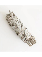 Smudge White Sage 4"