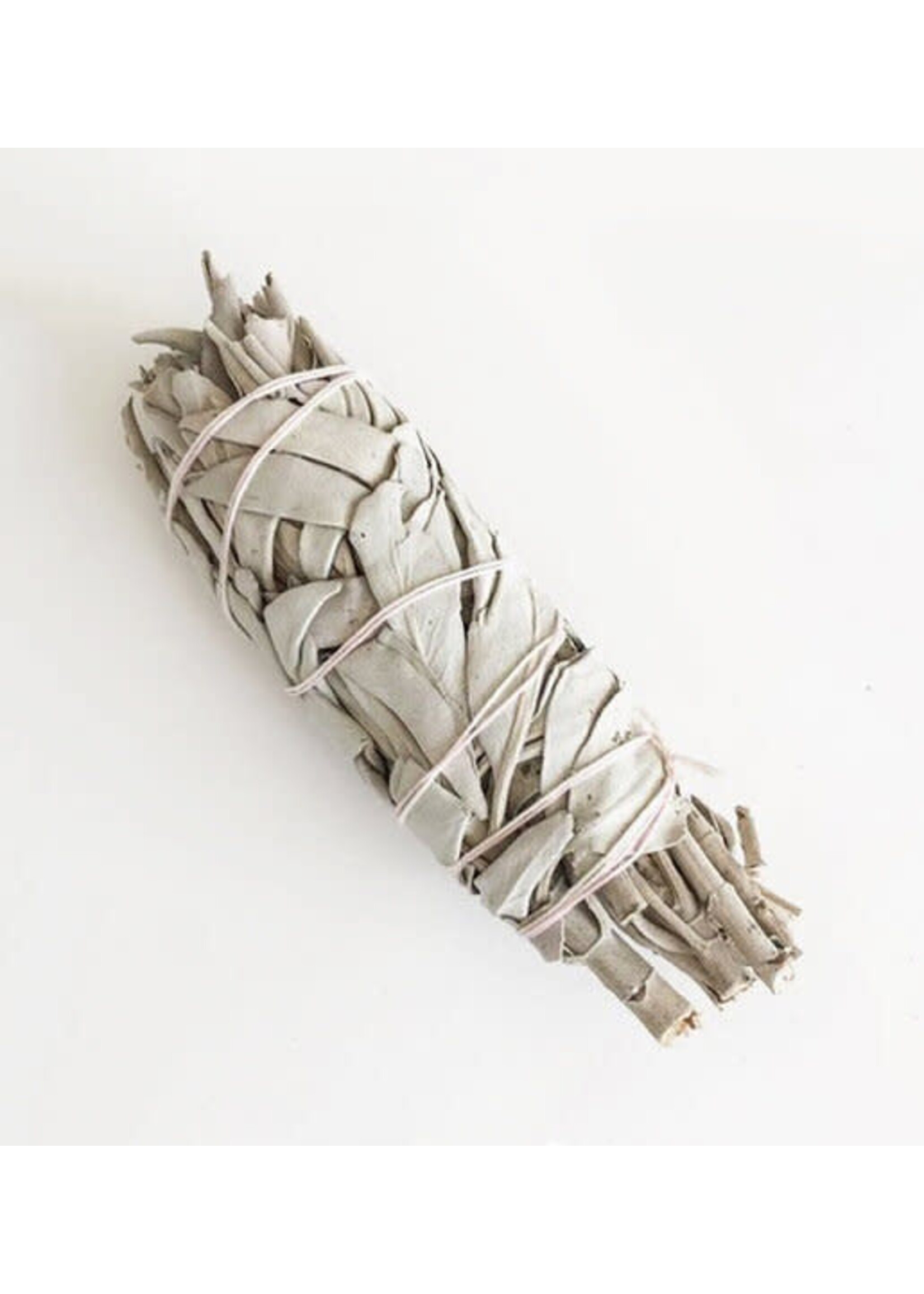 Smudge White Sage 4"