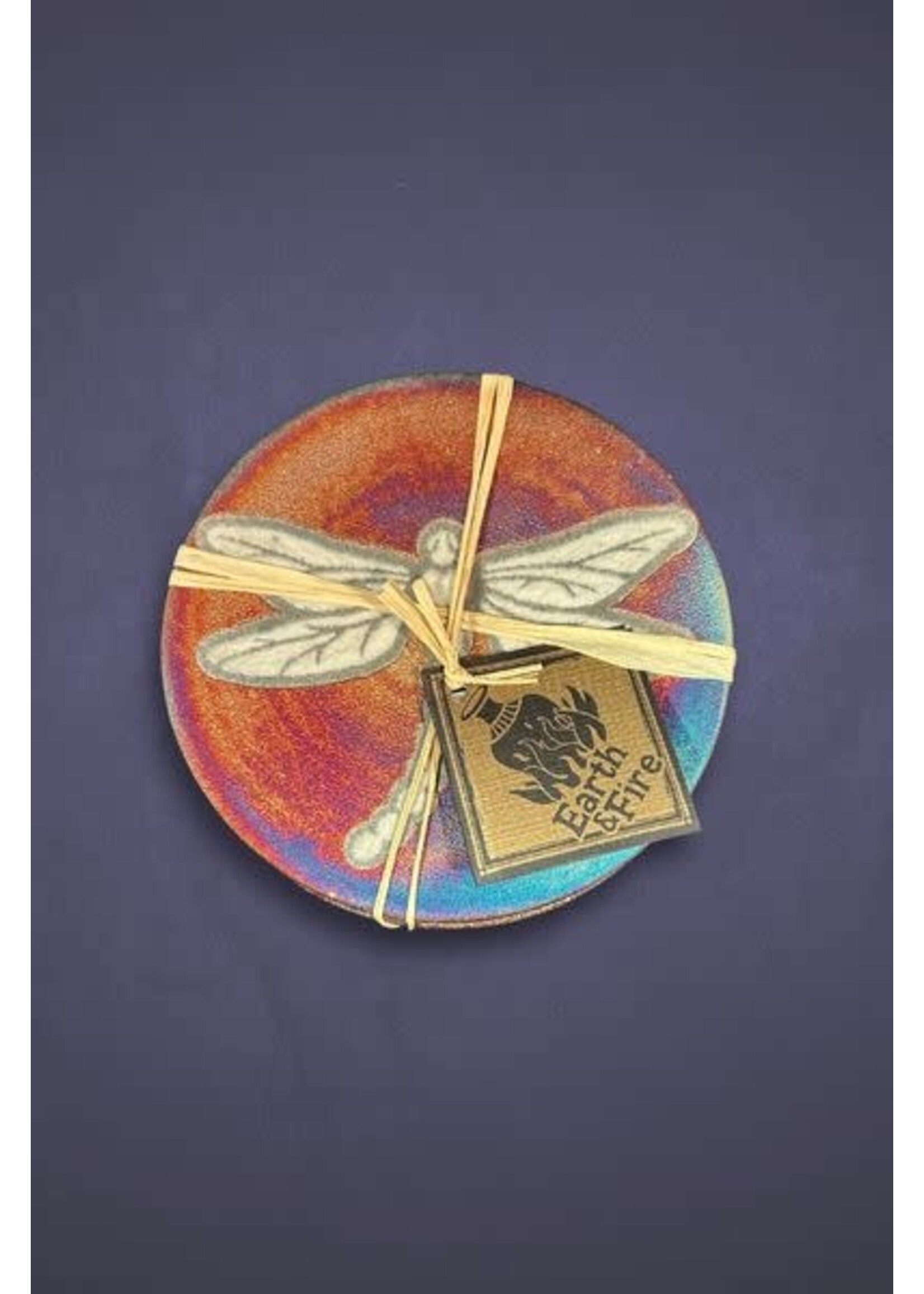 Raku Coasters Dragonfly 2pk