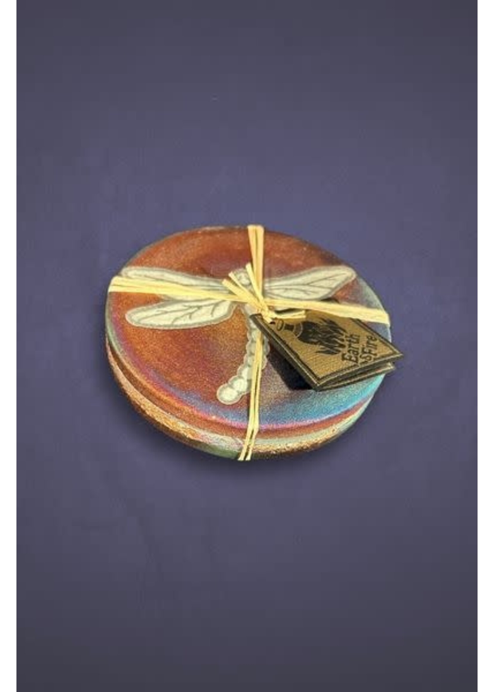 Raku Coasters Dragonfly 2pk