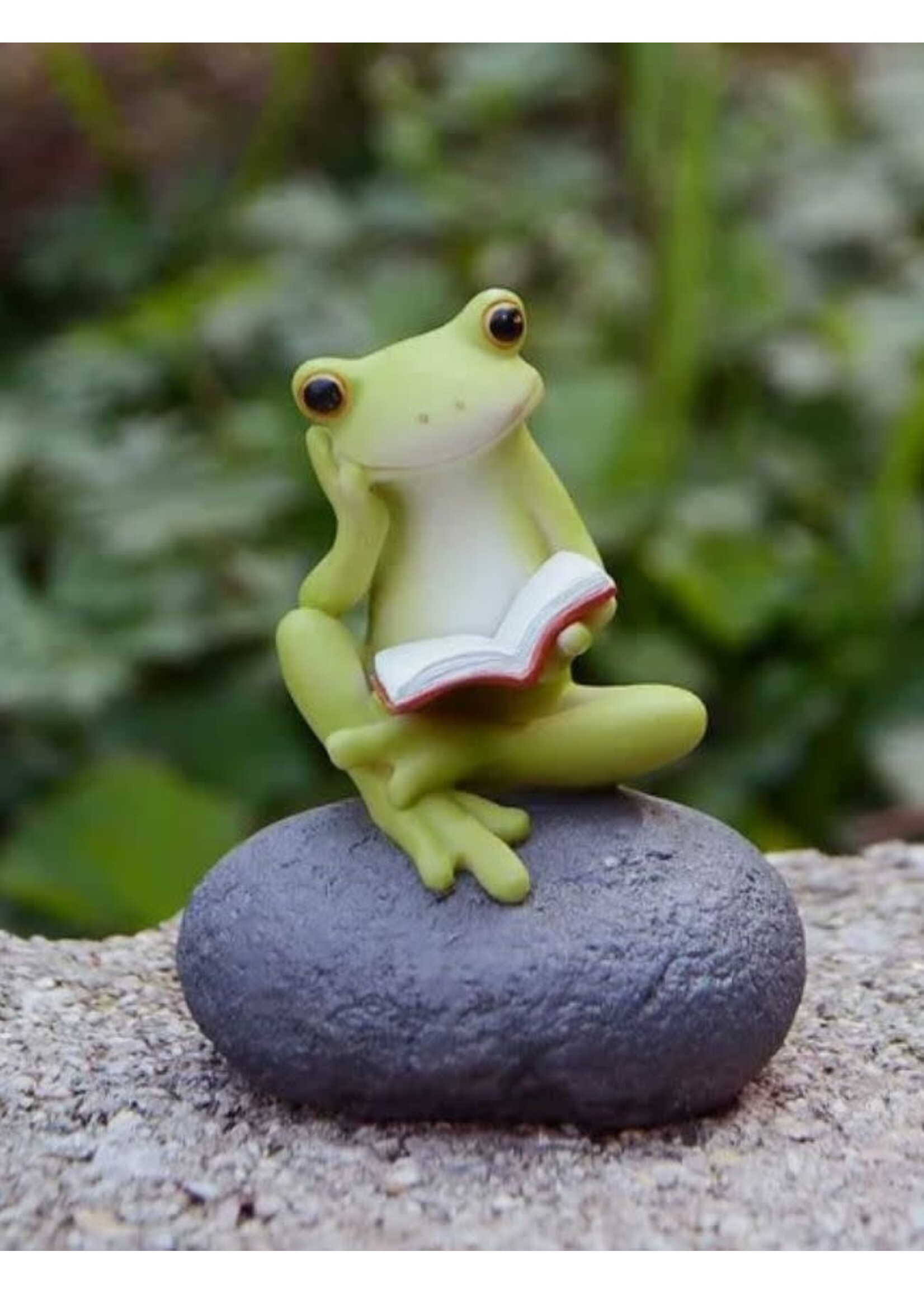 Cute Frog Reading On Stone