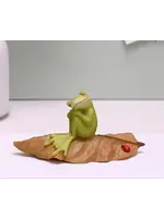 Frog Napping On Leaf W/ Ladybug