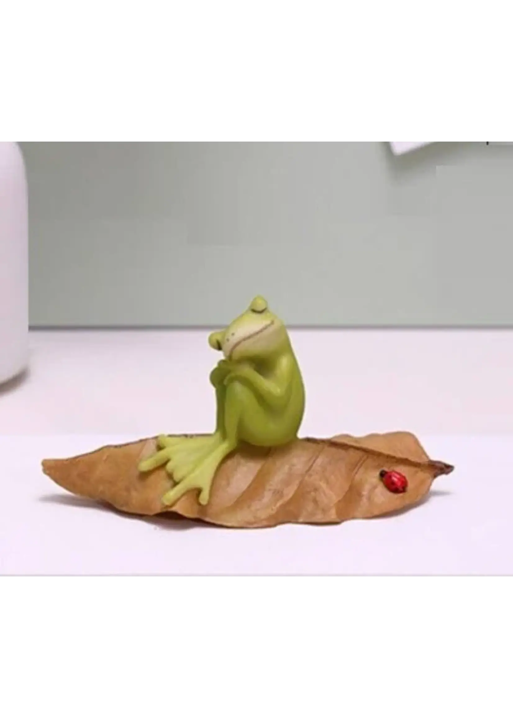 Frog Napping On Leaf W/ Ladybug