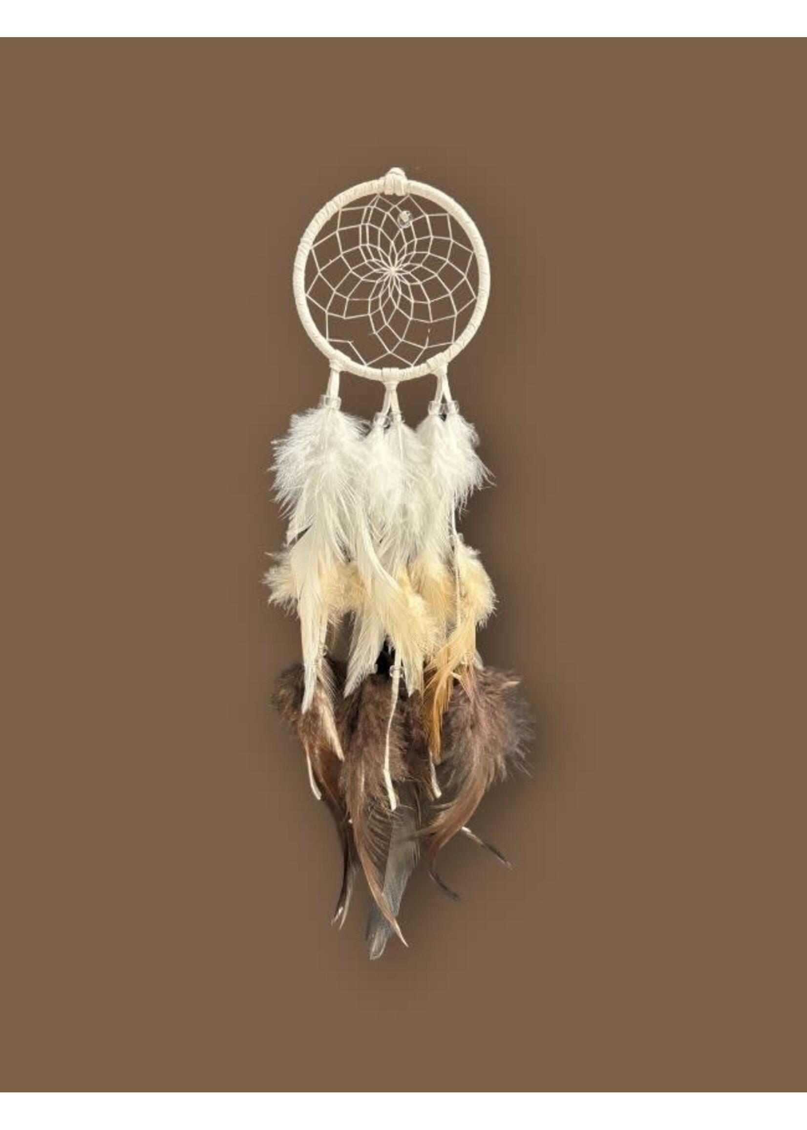 Monague Ombre Dream Catchers