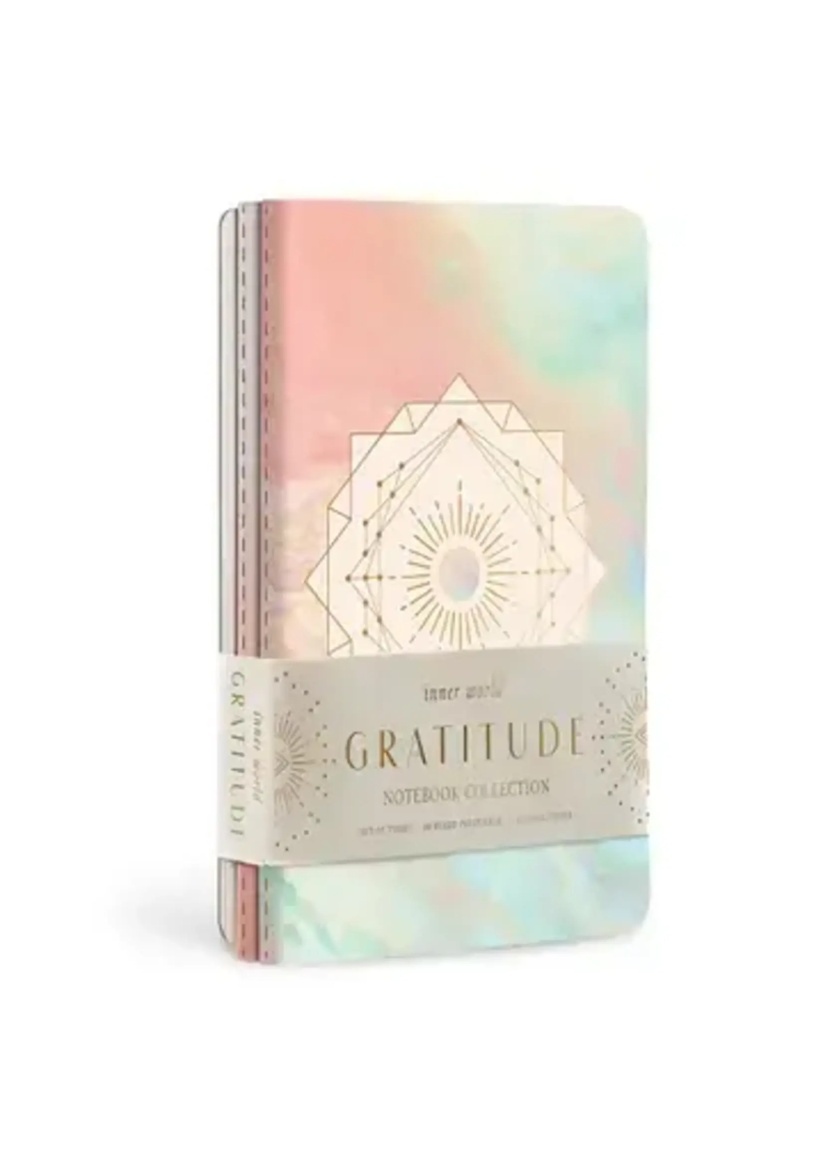 Notebook Gratitude (set of 3)