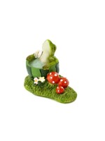 Mini Frog Soaking in The Tub