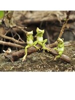 Three No Evils Frogs on Log