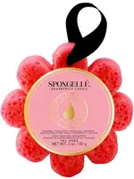 Spongelle Wild Flower Red Grapefruit Cassis 14 Washes