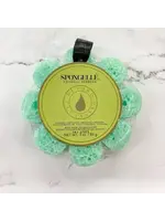 Spongelle Wild Flower Coconut Verbena 14 Washes