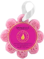 Spongelle Wild Flower Bulgarian Rose 14 Washes