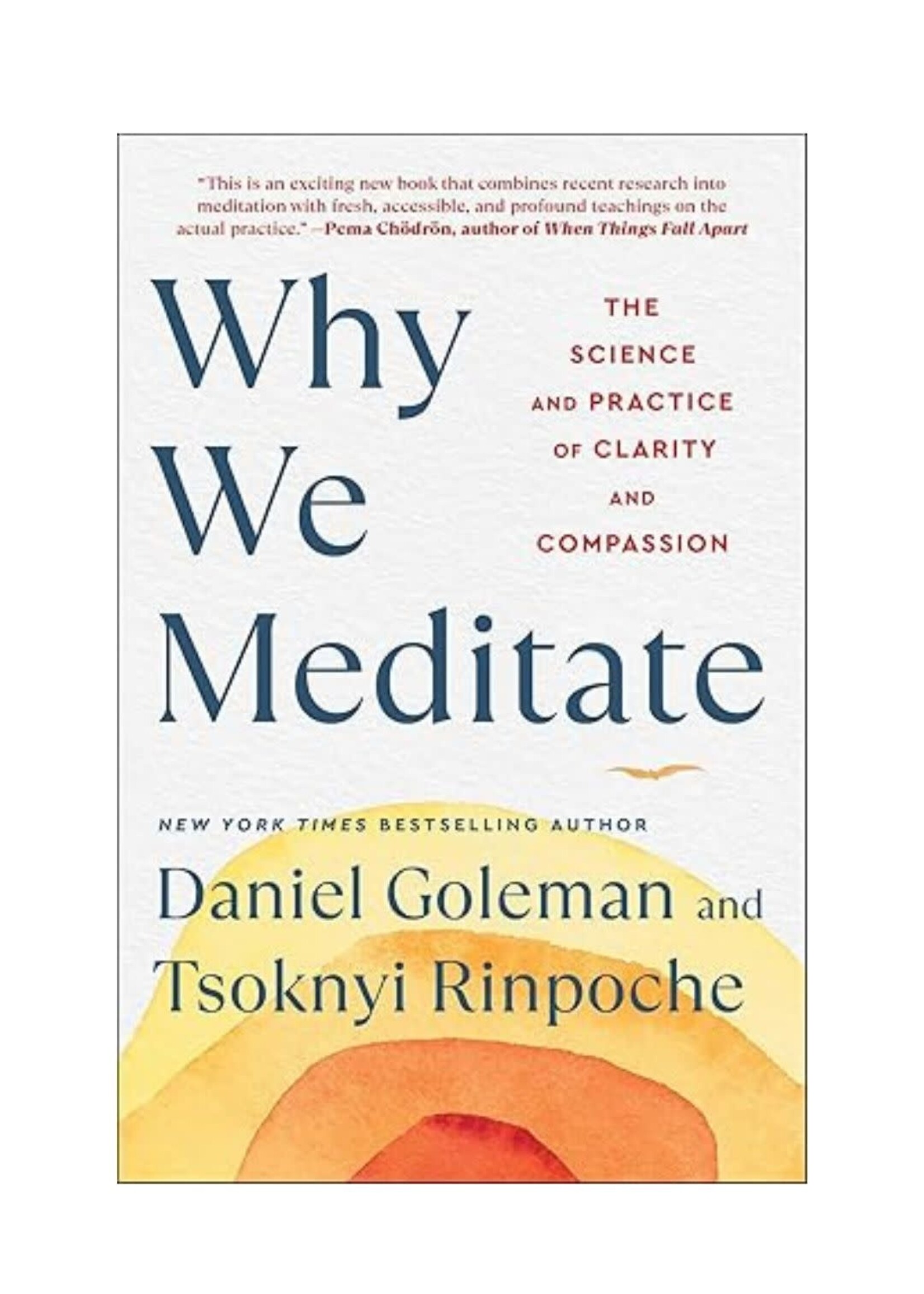 Book Why We Meditate