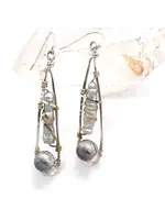 Earrings Mollusk SS French Hooks