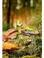 Frogs Relaxing On Branch