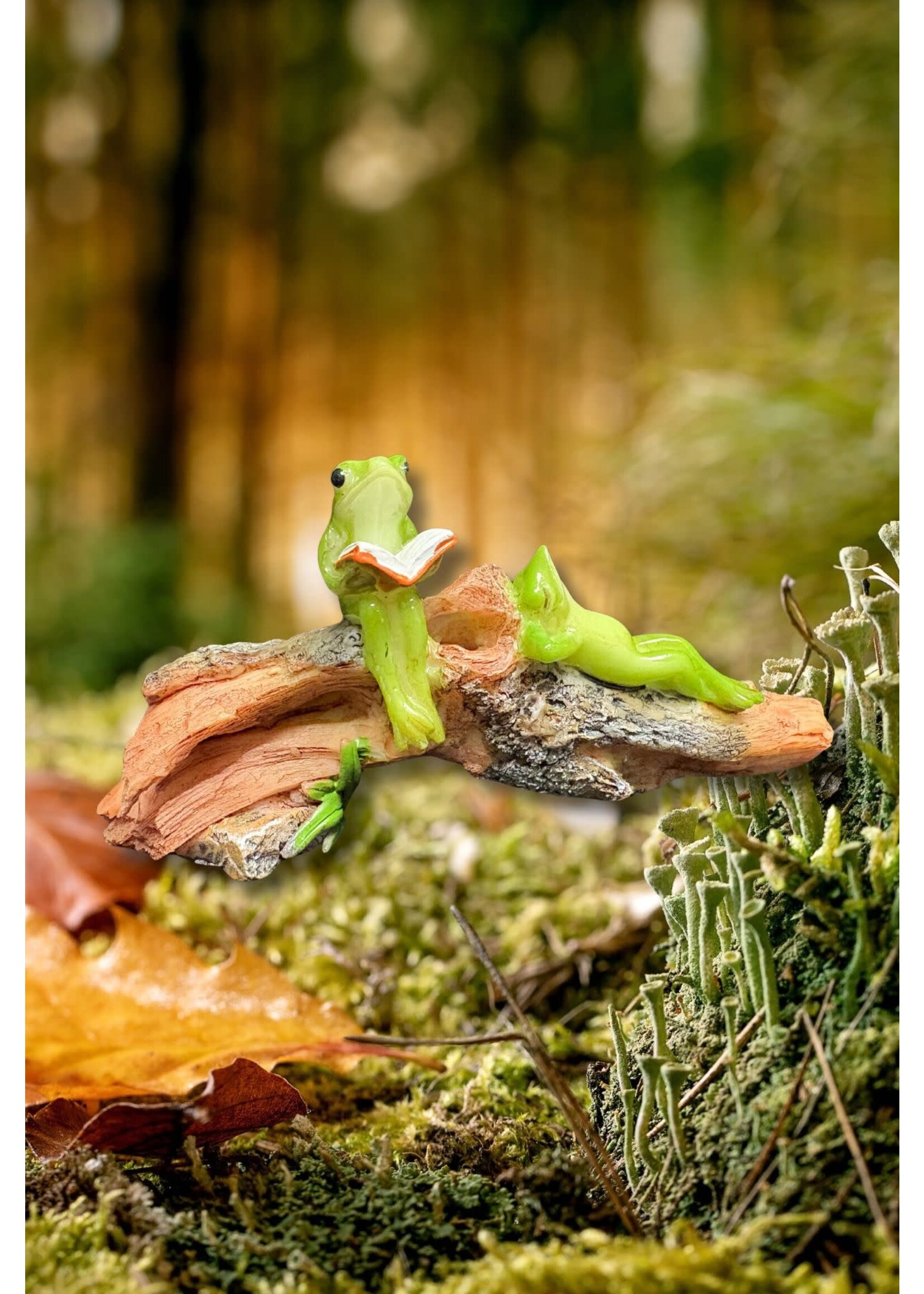 Frogs Relaxing On Branch