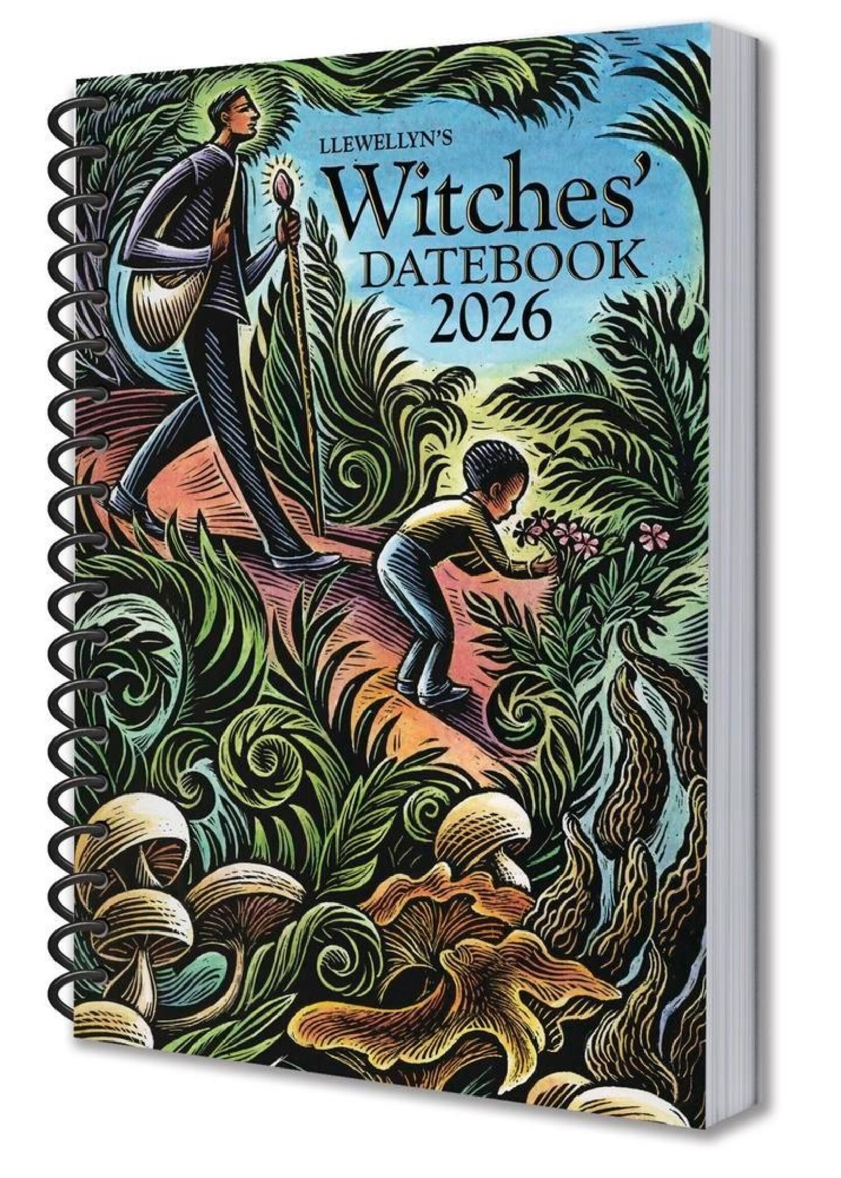 LLewellyn's 2026 Witches Datebook