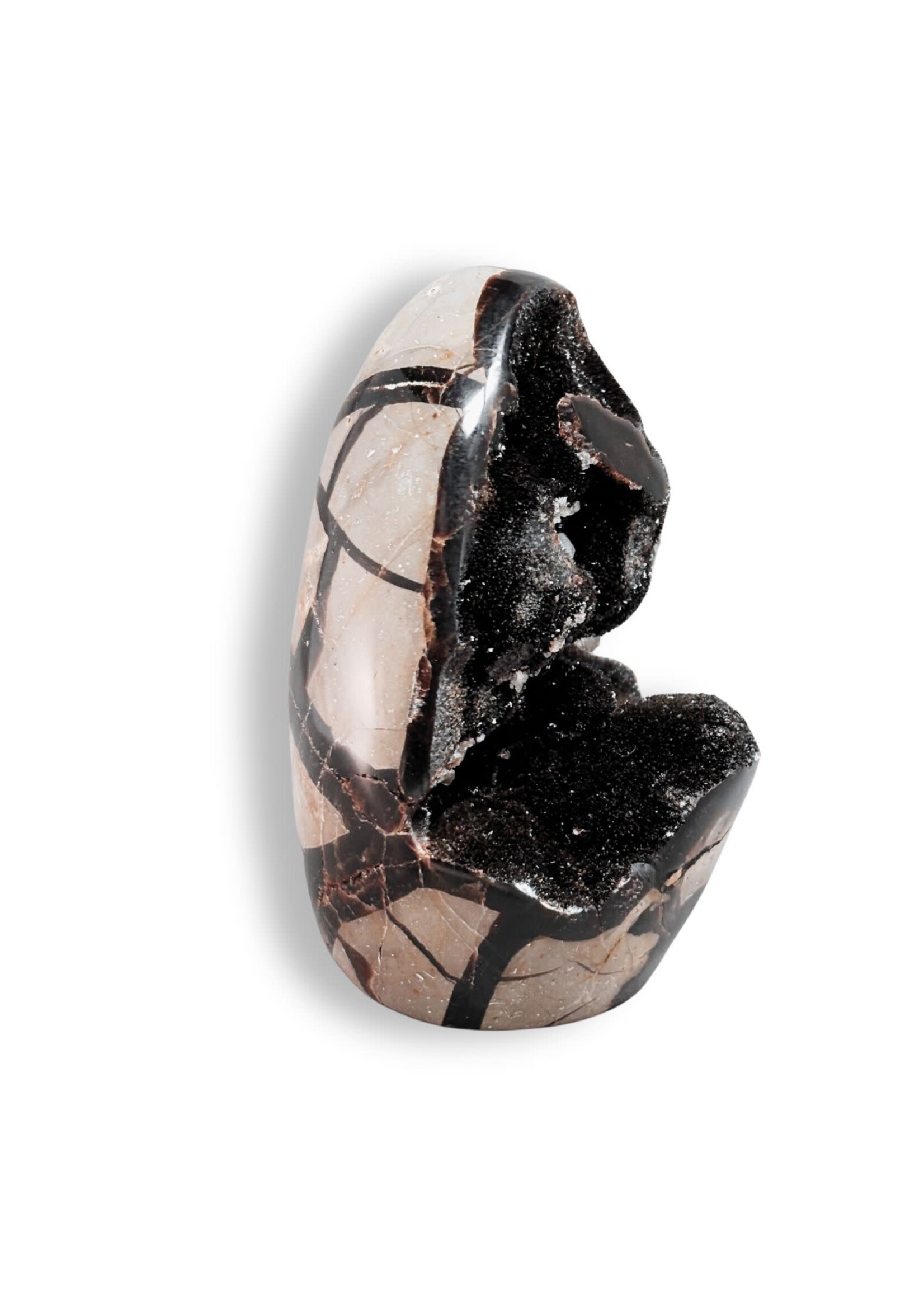 Septarian Egg