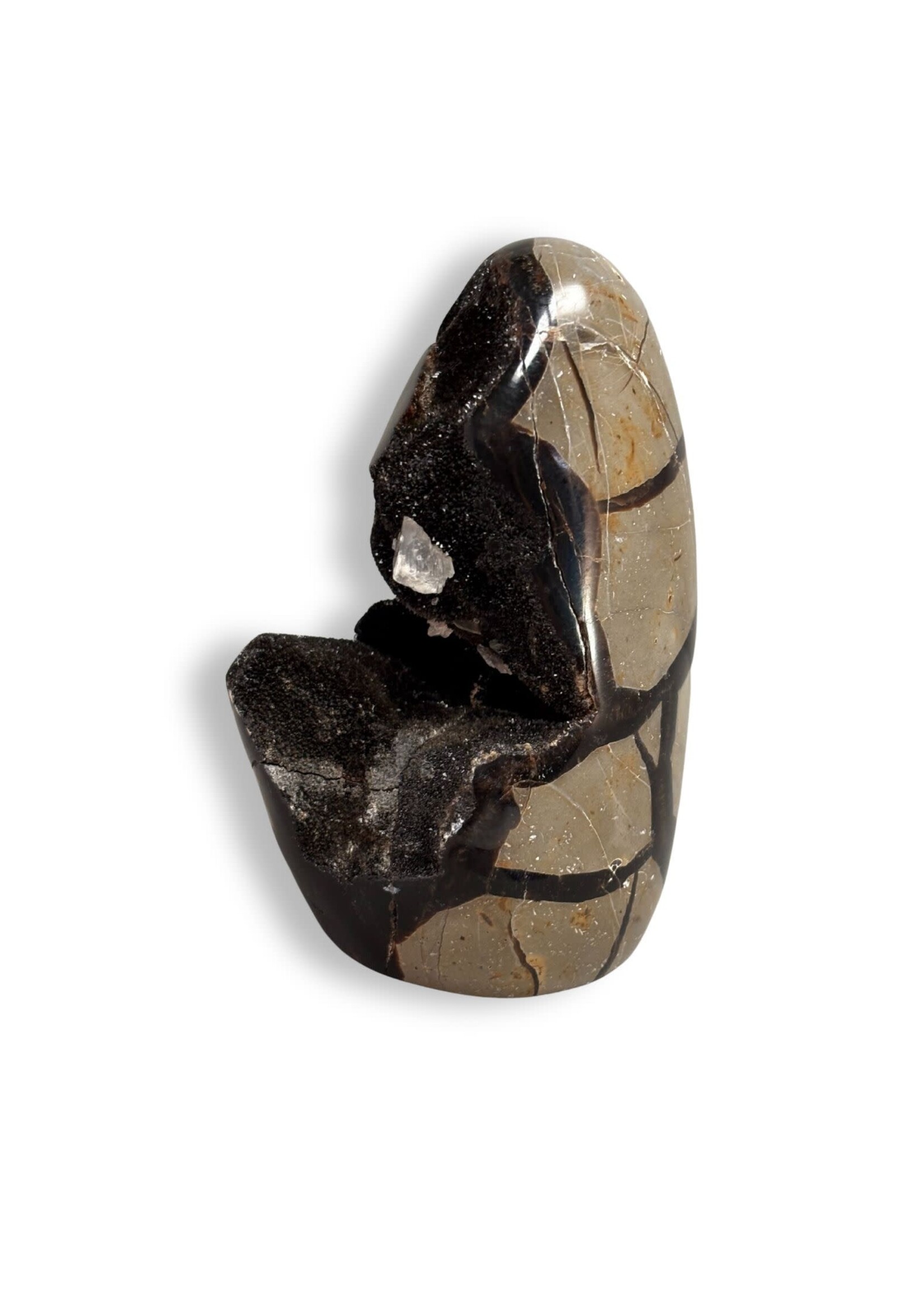 Septarian Egg