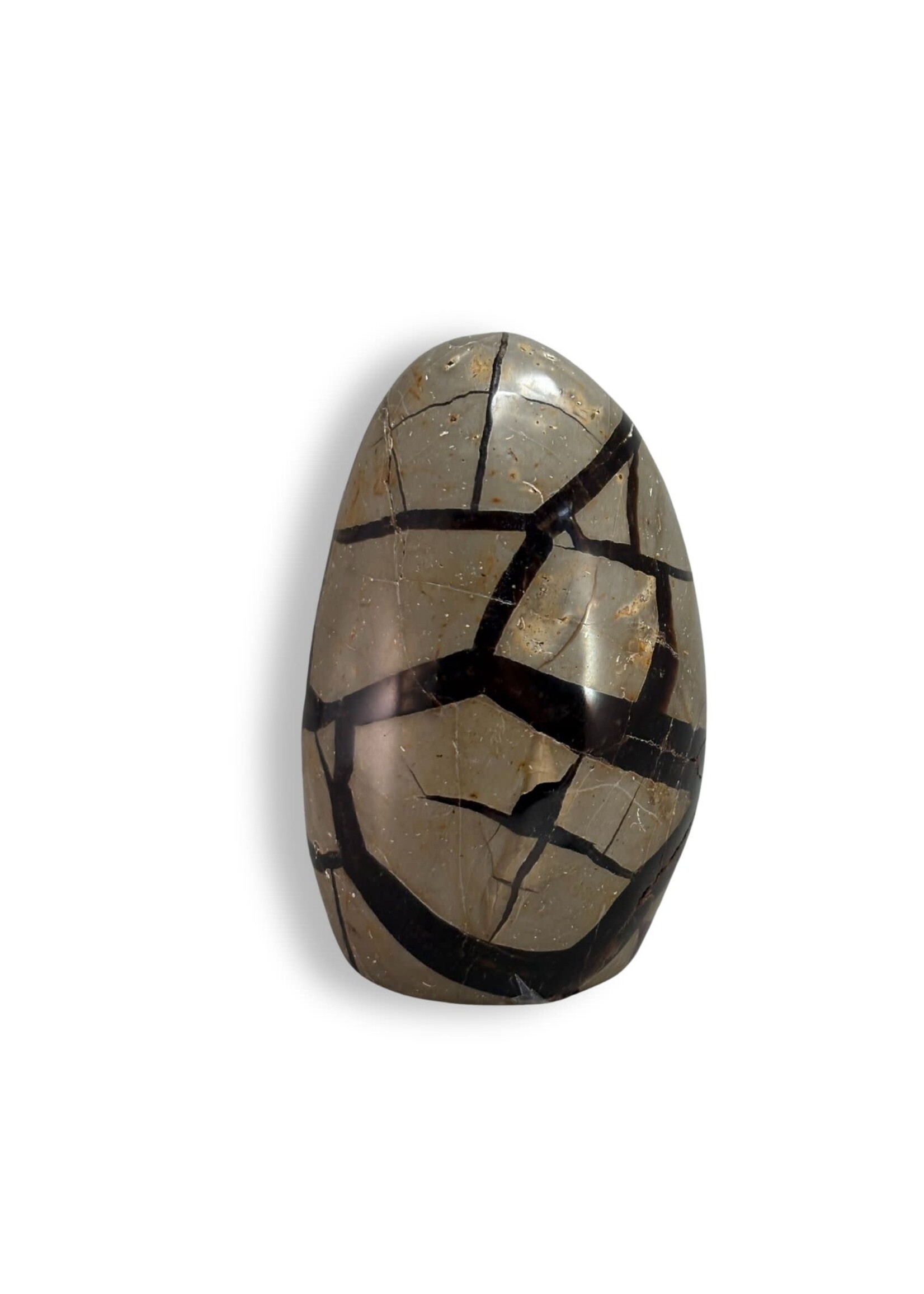 Septarian Egg