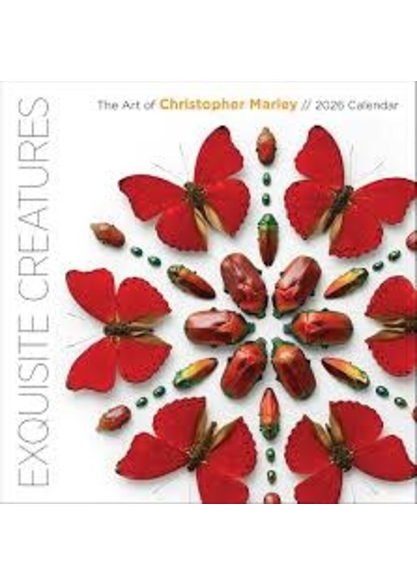 Calendar 2026 Art of Christopher Marley Exquisite Creatures