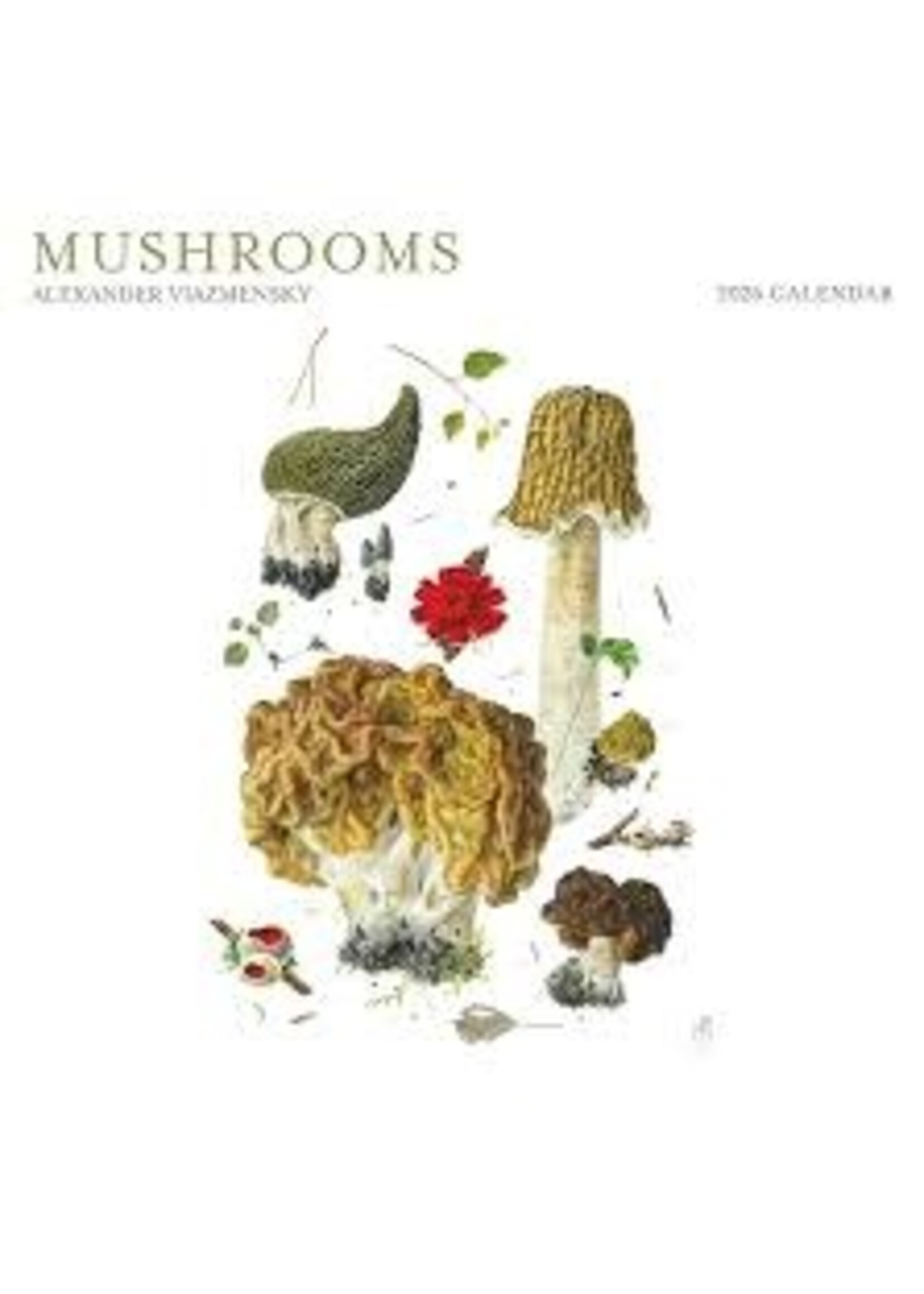 Calendar 2026 Mushrooms Alexander Viazmensky