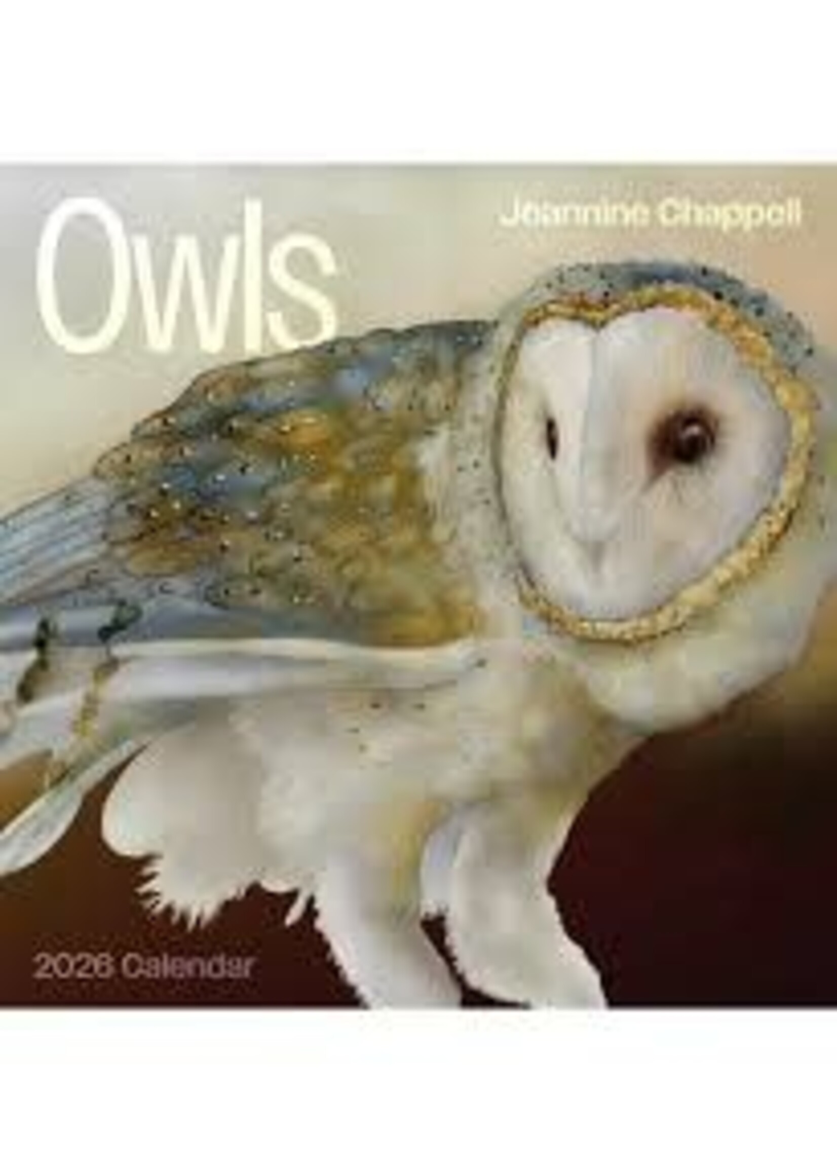 Calendar 2026 Owls Jeannine Chappell