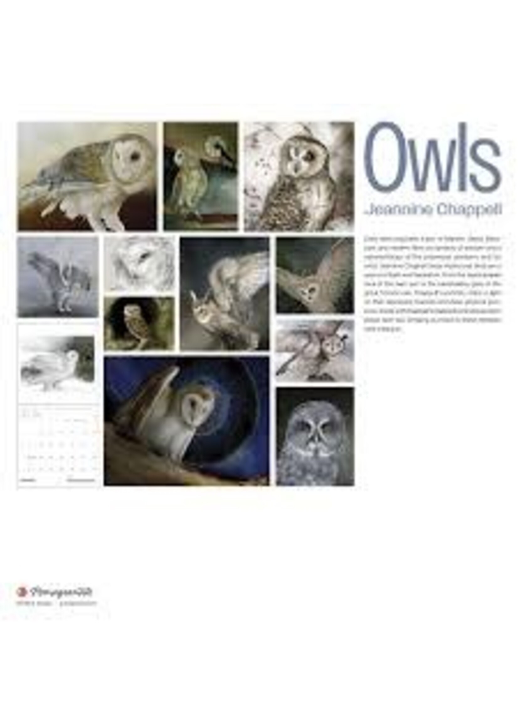 Calendar 2026 Owls Jeannine Chappell