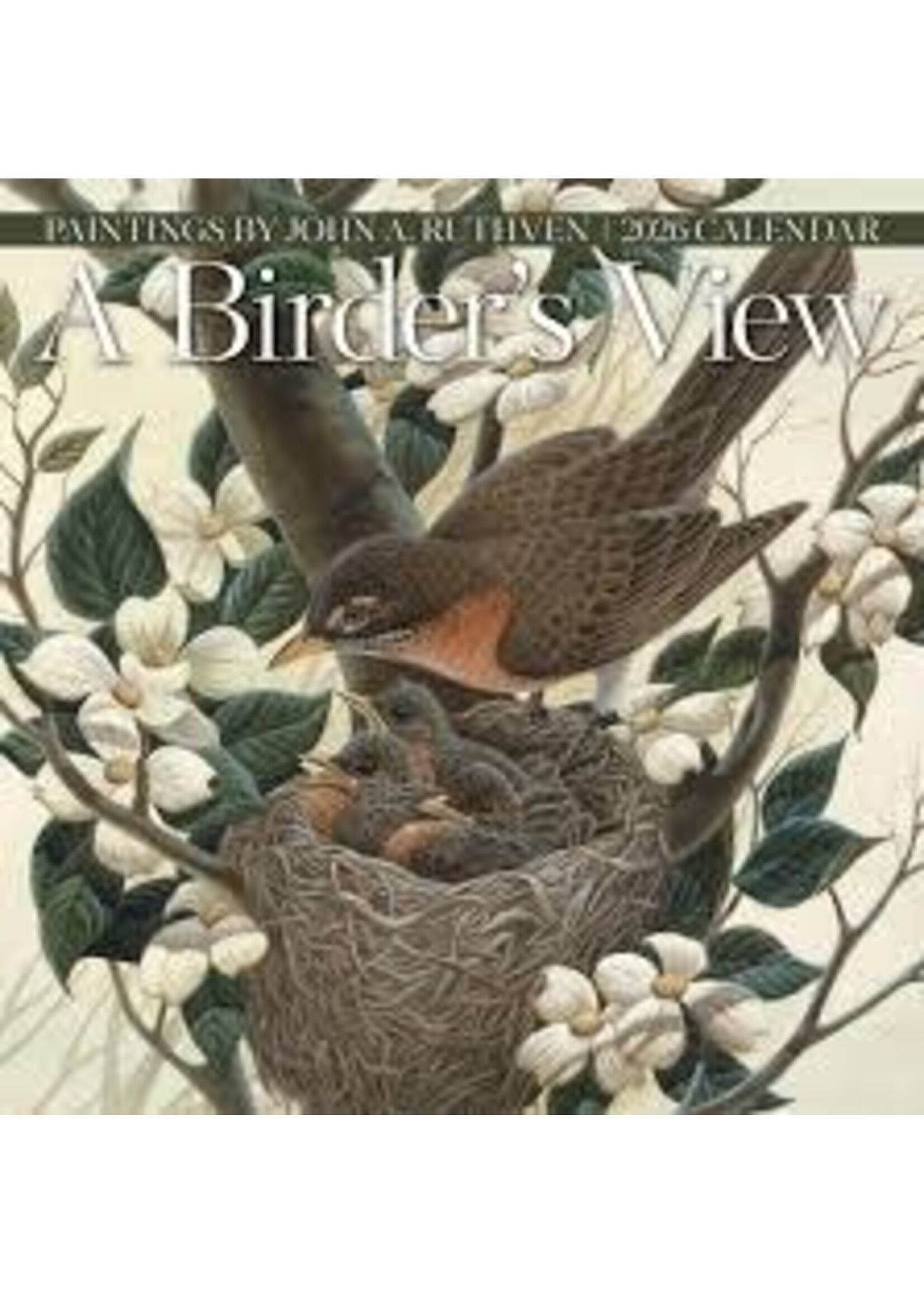 Calendar 2026 Paintings by John Ruthven Birder's View